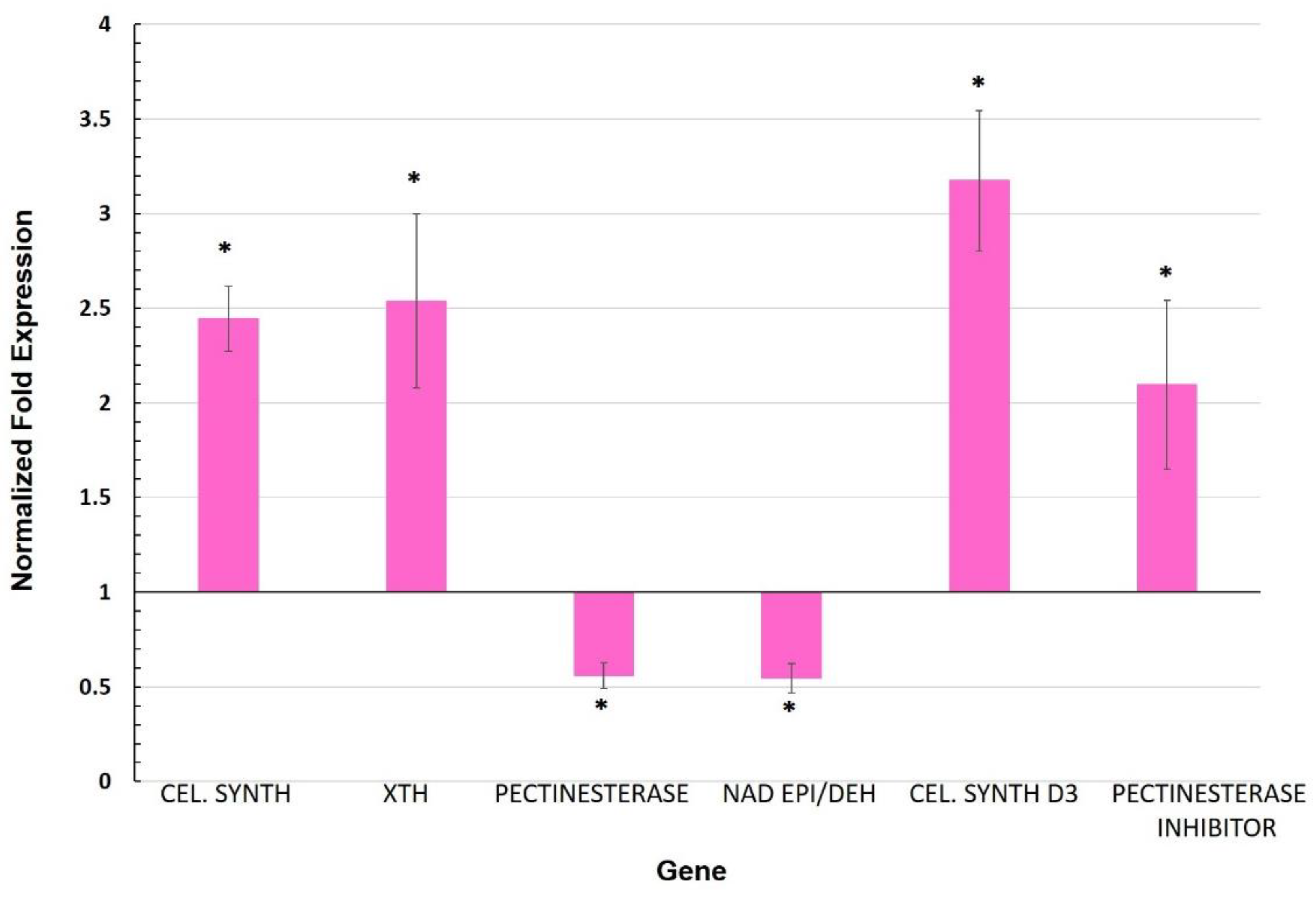 Biology 11 00854 g002 Biology 11 00854 g002