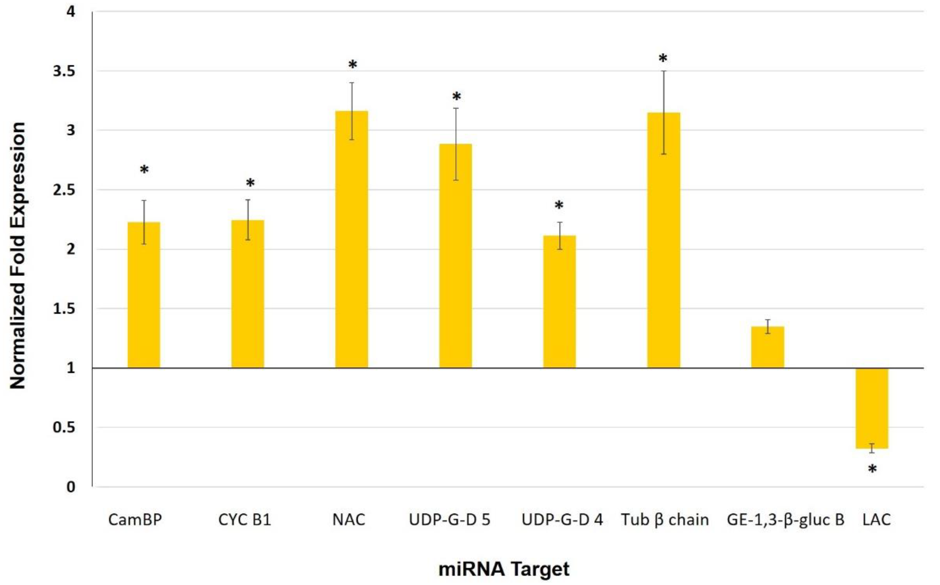 Biology 11 00854 g006 Biology 11 00854 g006