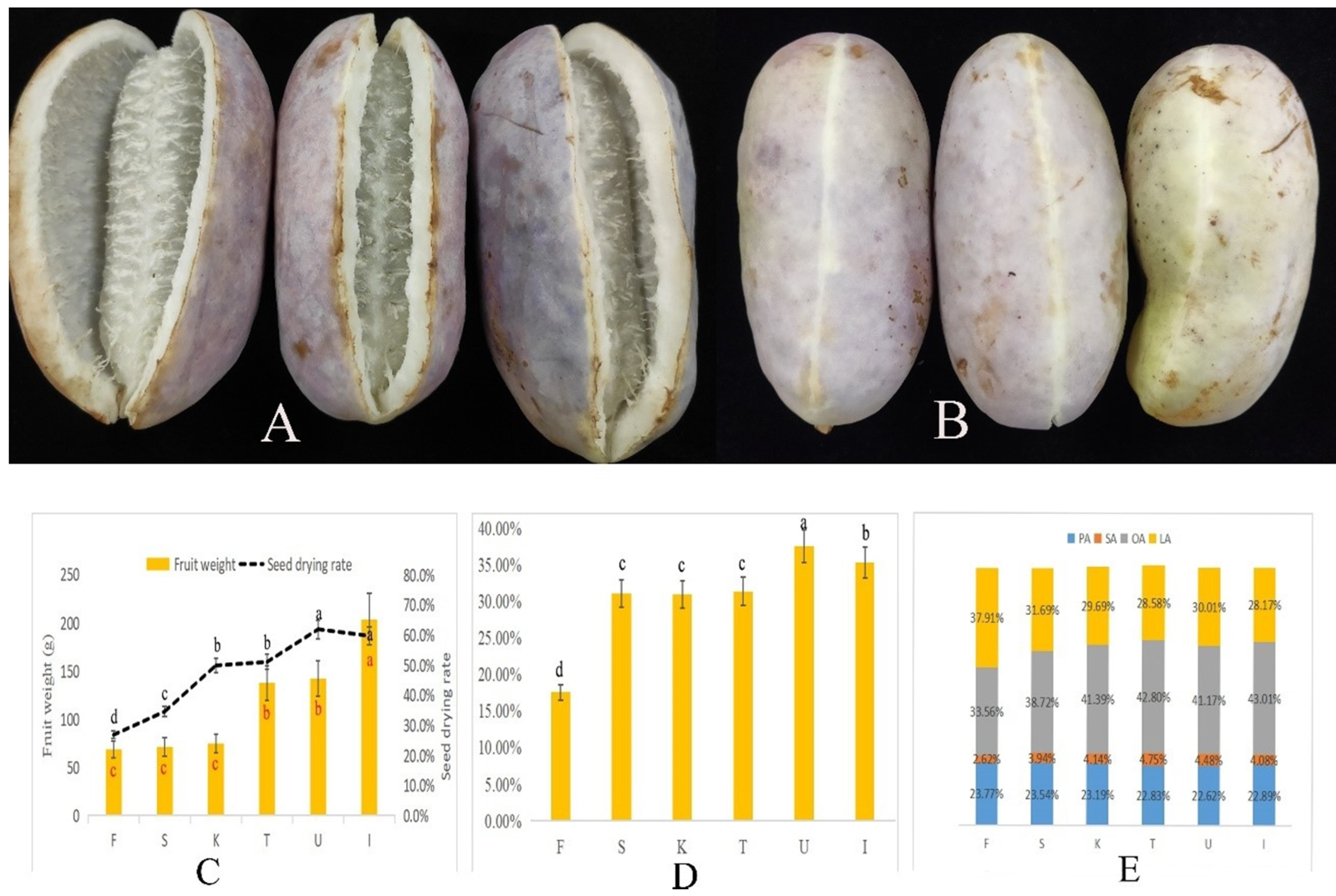 Biology 11 00855 g001