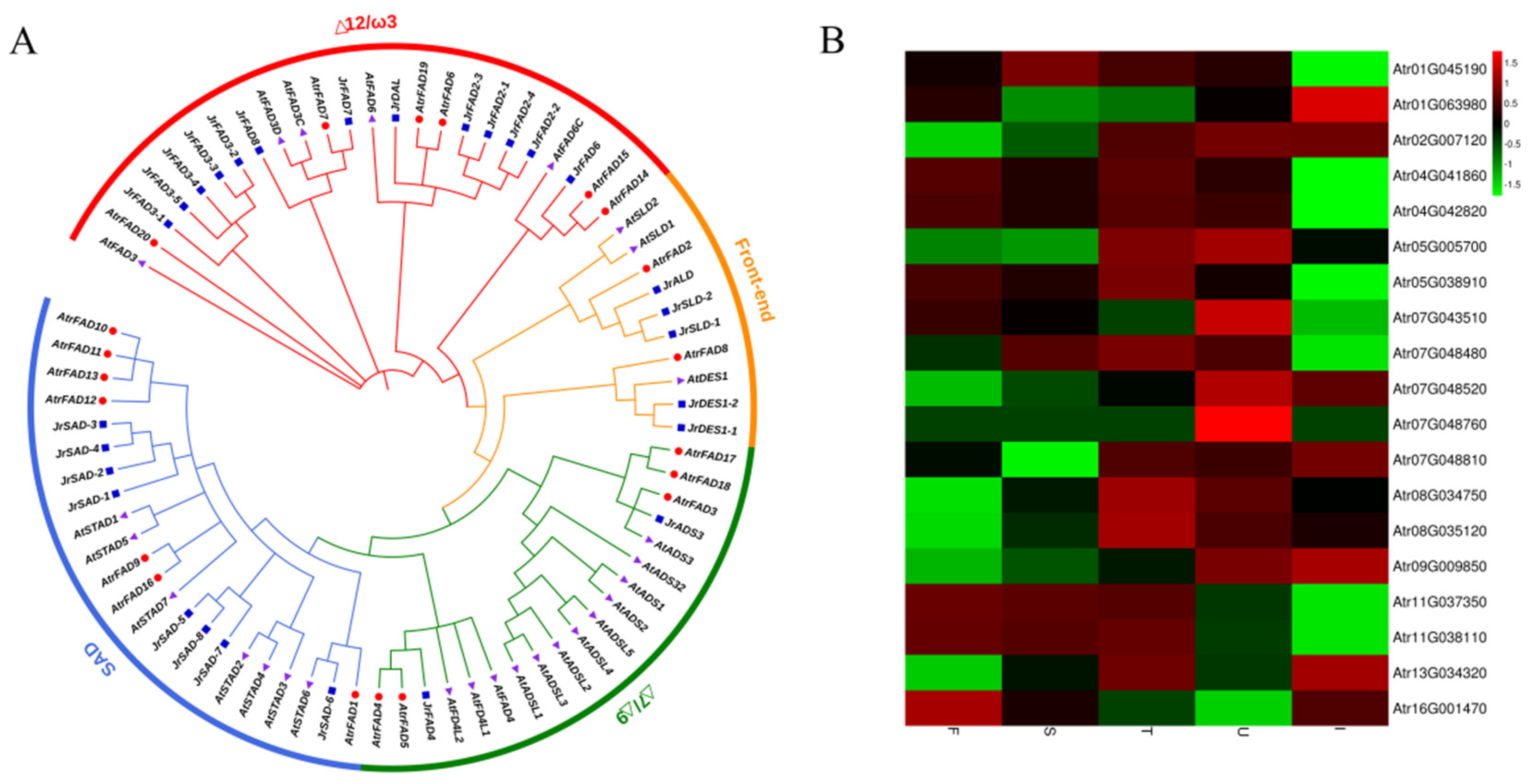 Biology 11 00855 g004