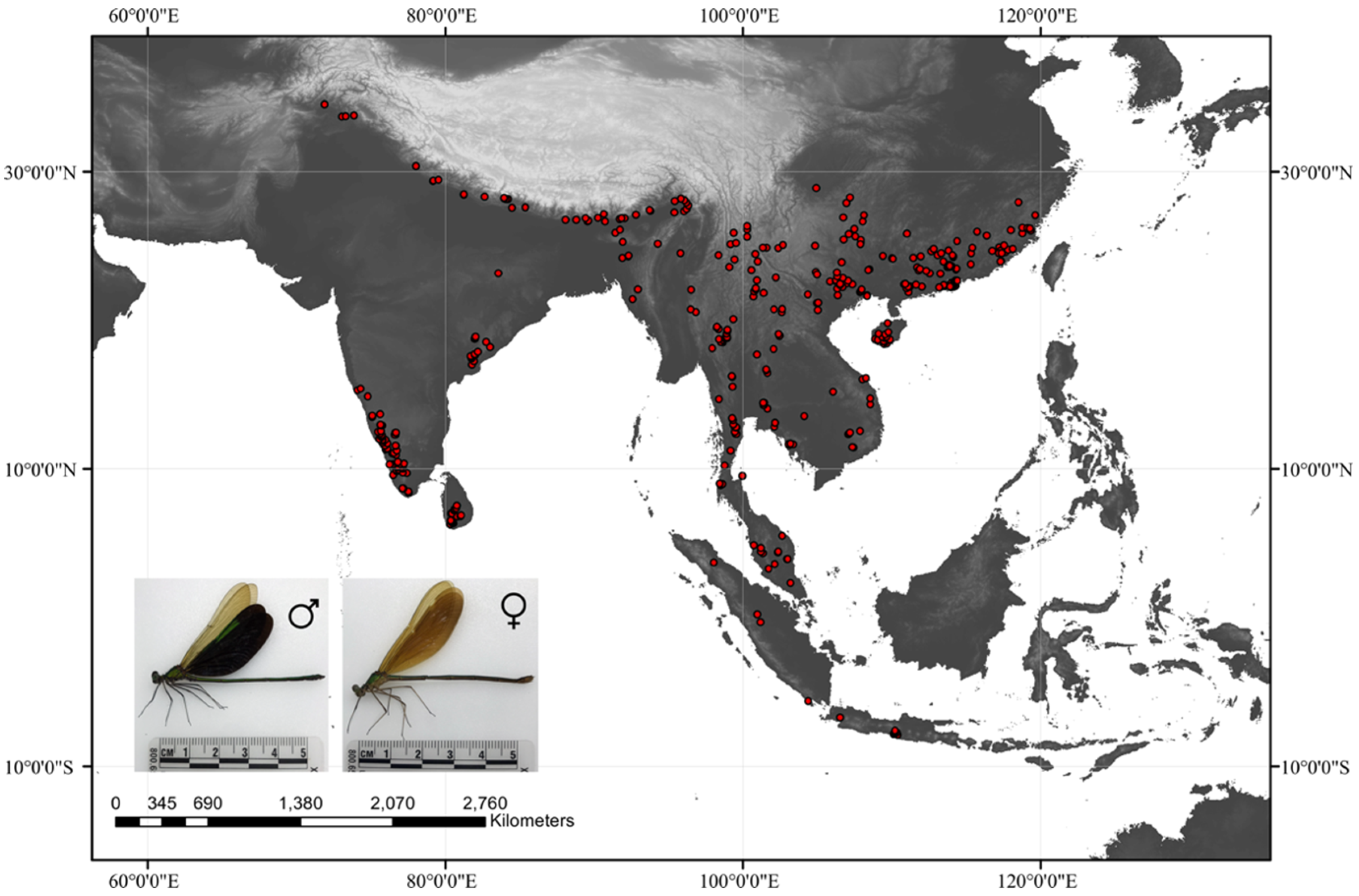 Biology 11 00868 g001