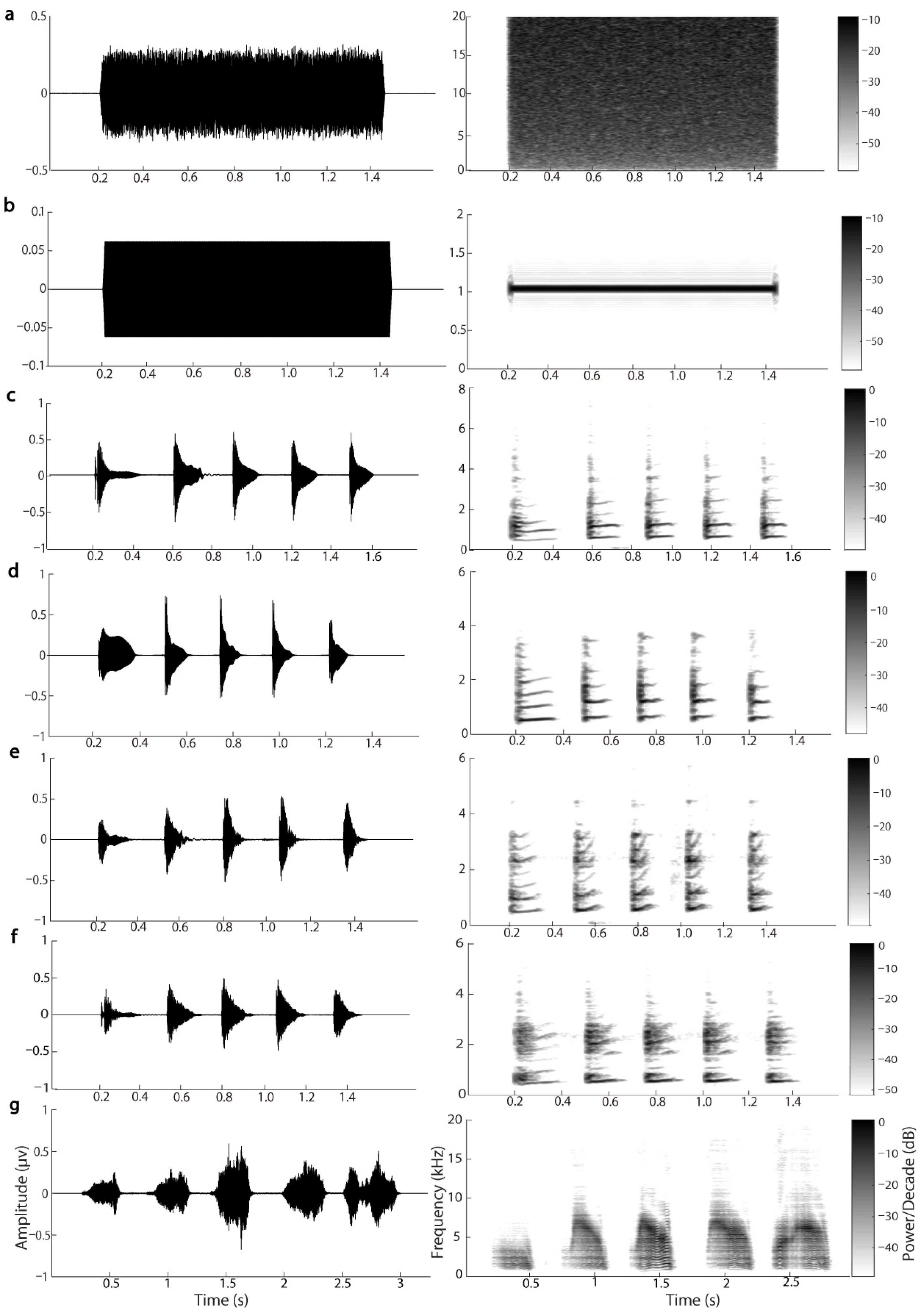 Biology 11 00879 g002 Biology 11 00879 g002