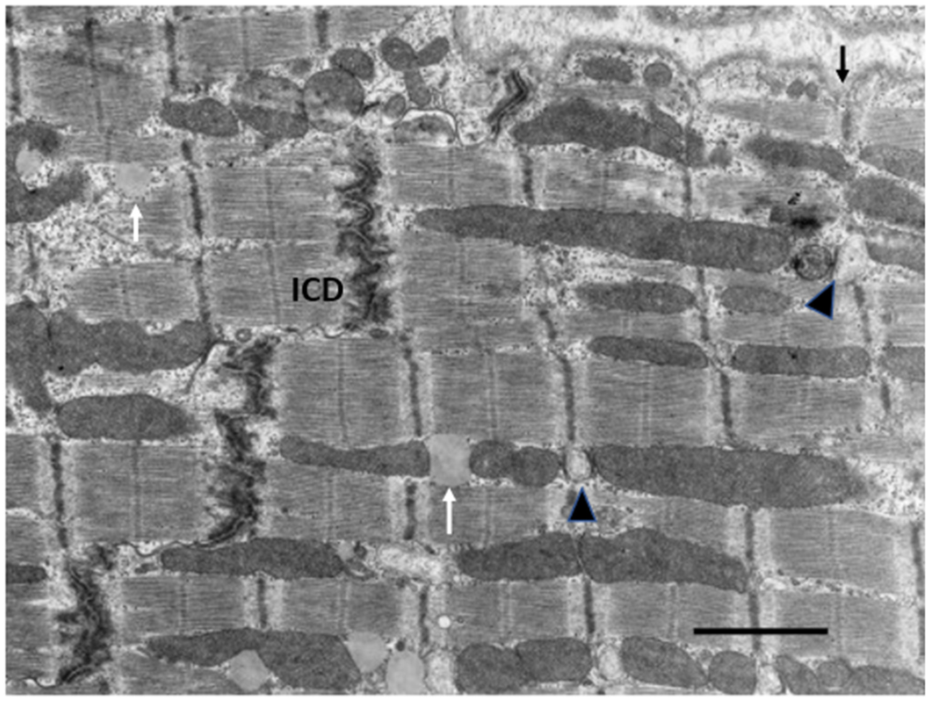 Biology 11 00880 g005 Biology 11 00880 g005