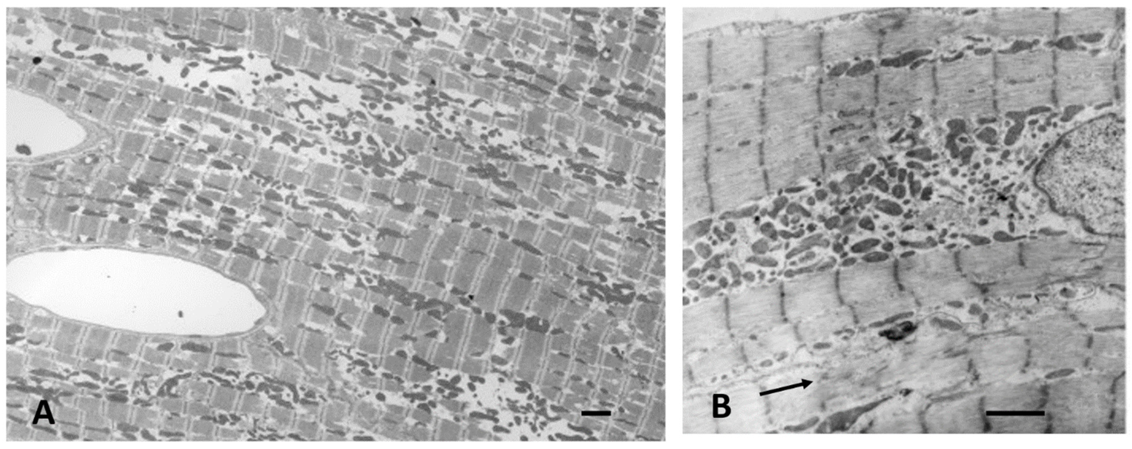 Biology 11 00880 g008 Biology 11 00880 g008
