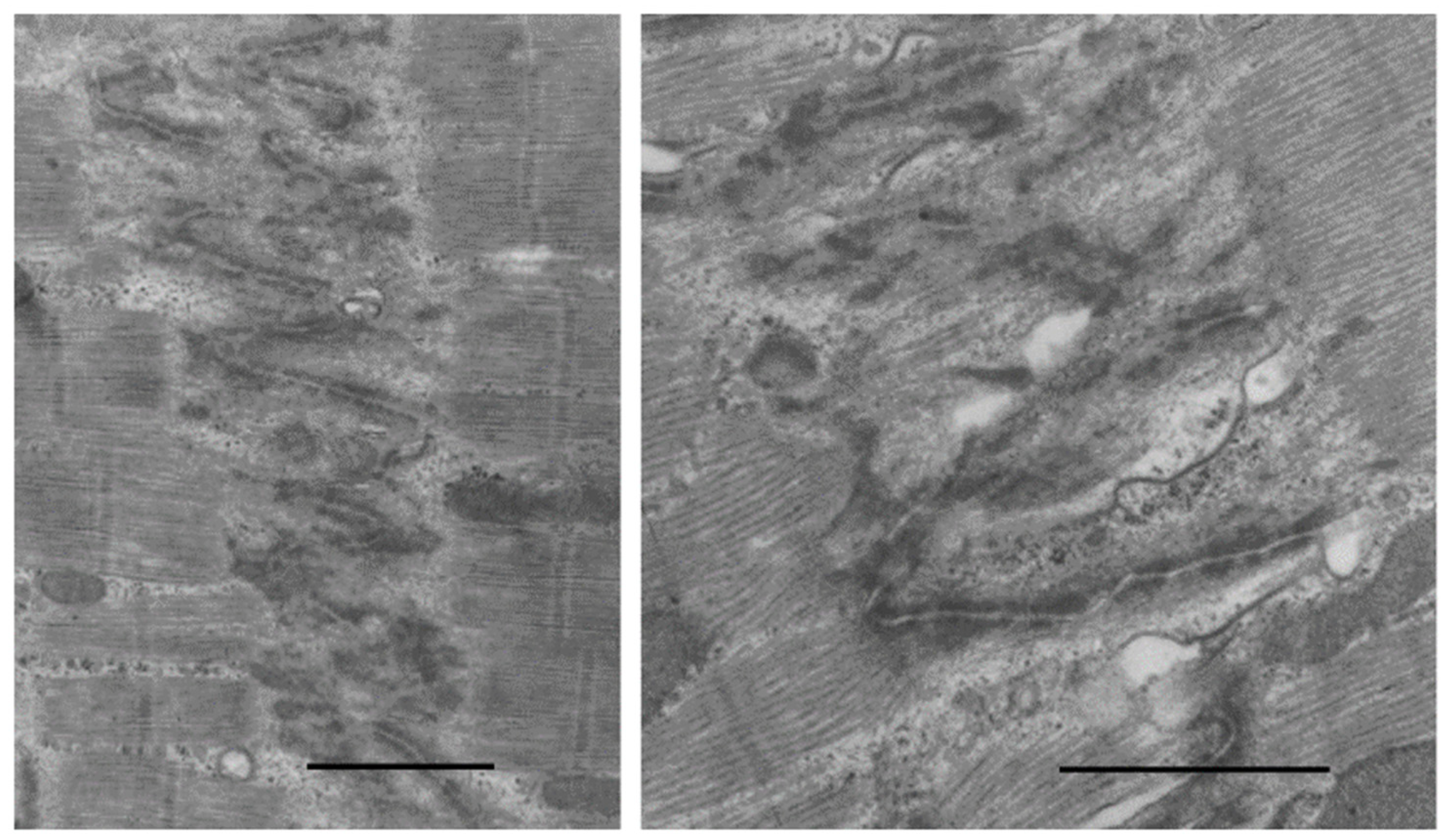 Biology 11 00880 g010 Biology 11 00880 g010