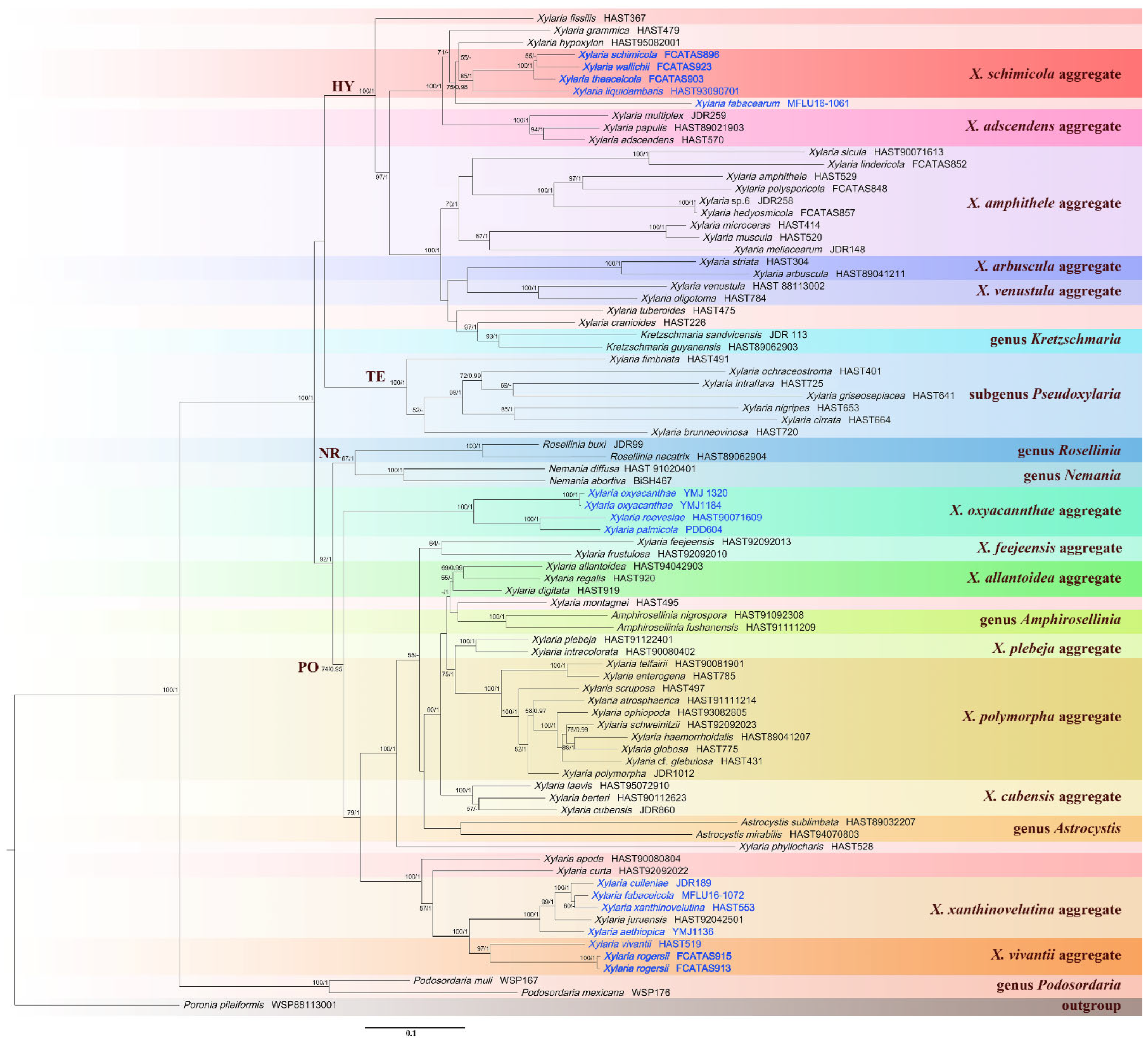 Biology 11 00885 g001