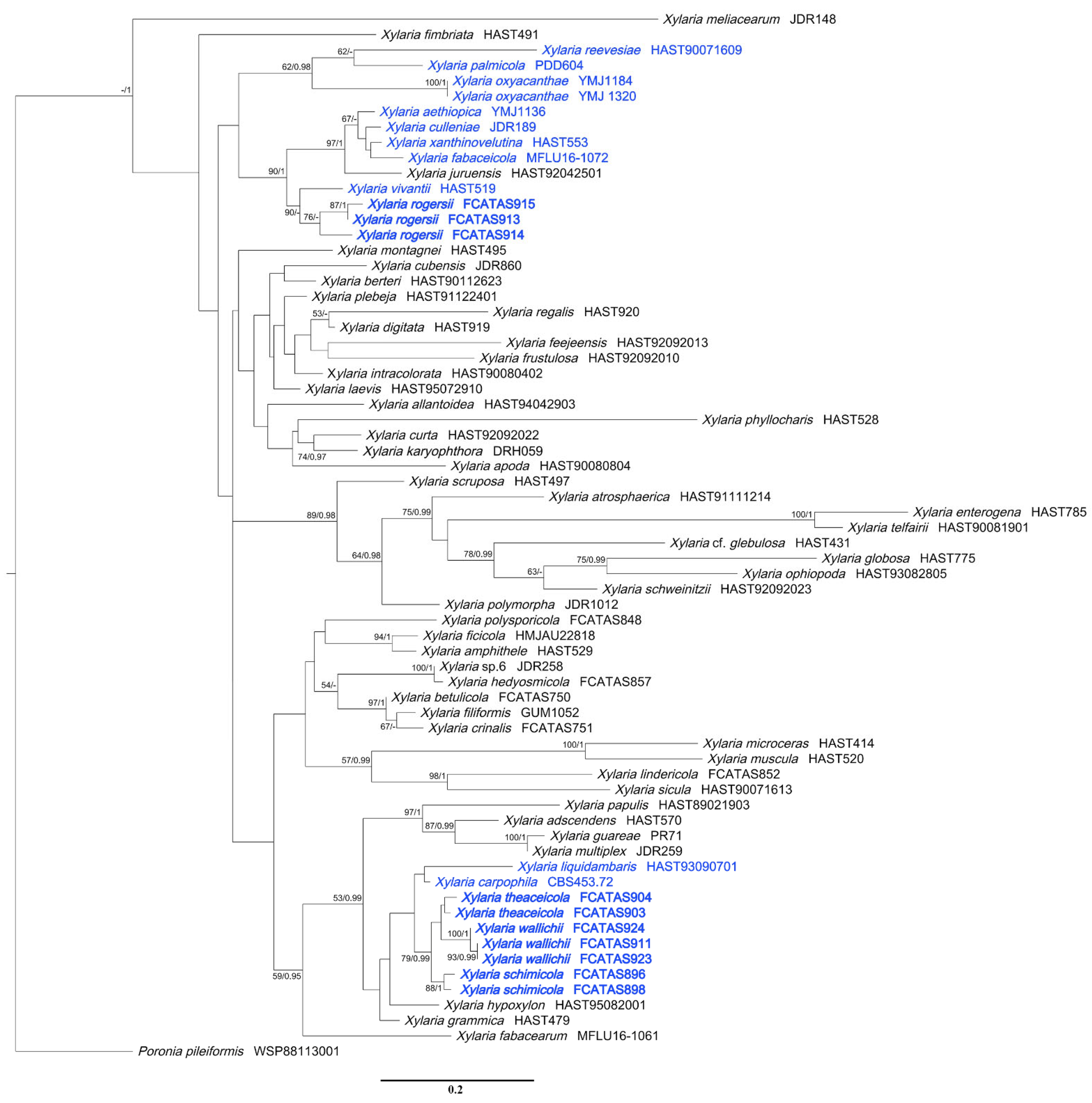 Biology 11 00885 g002