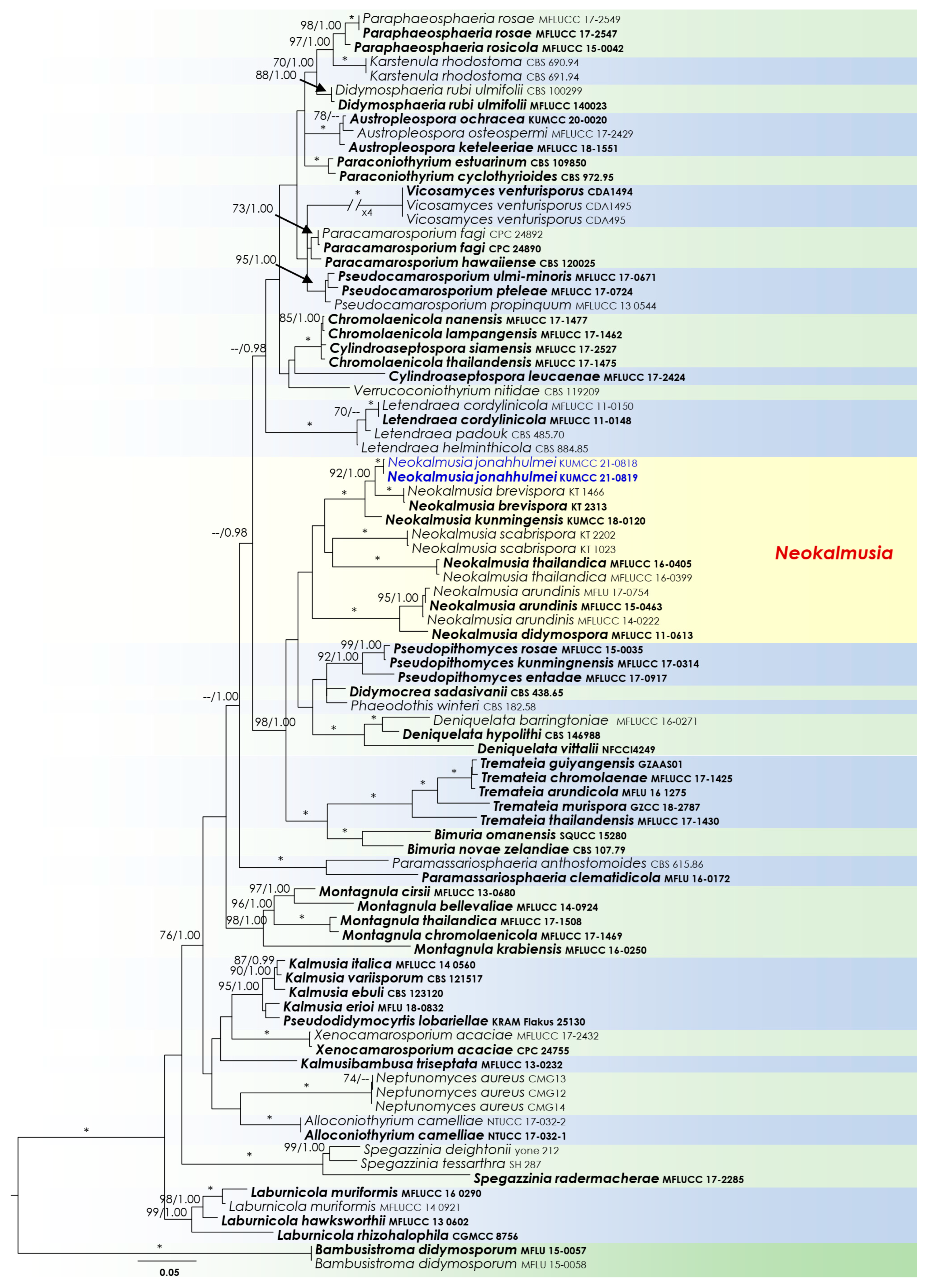 Biology 11 00889 g002