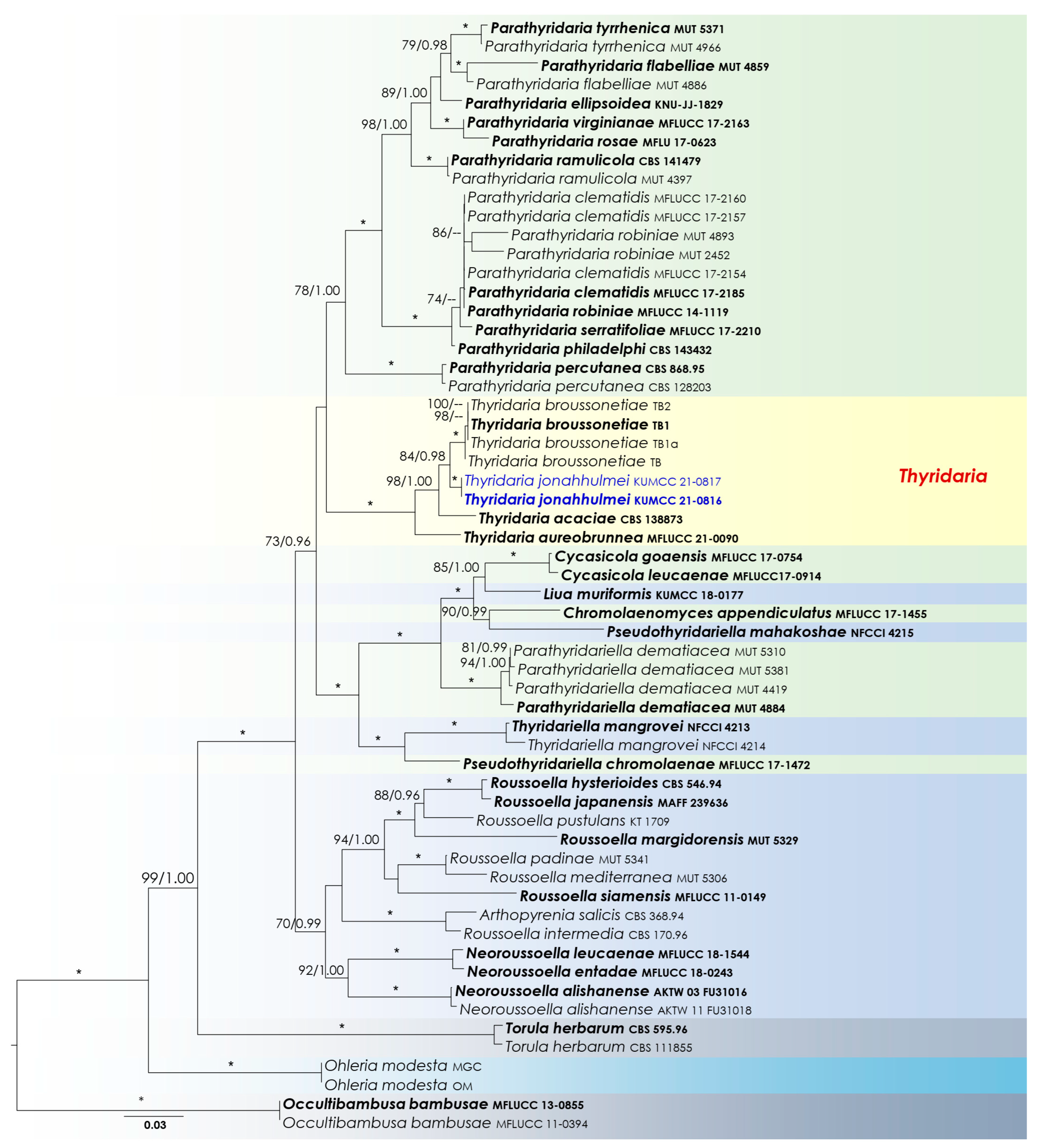 Biology 11 00889 g003