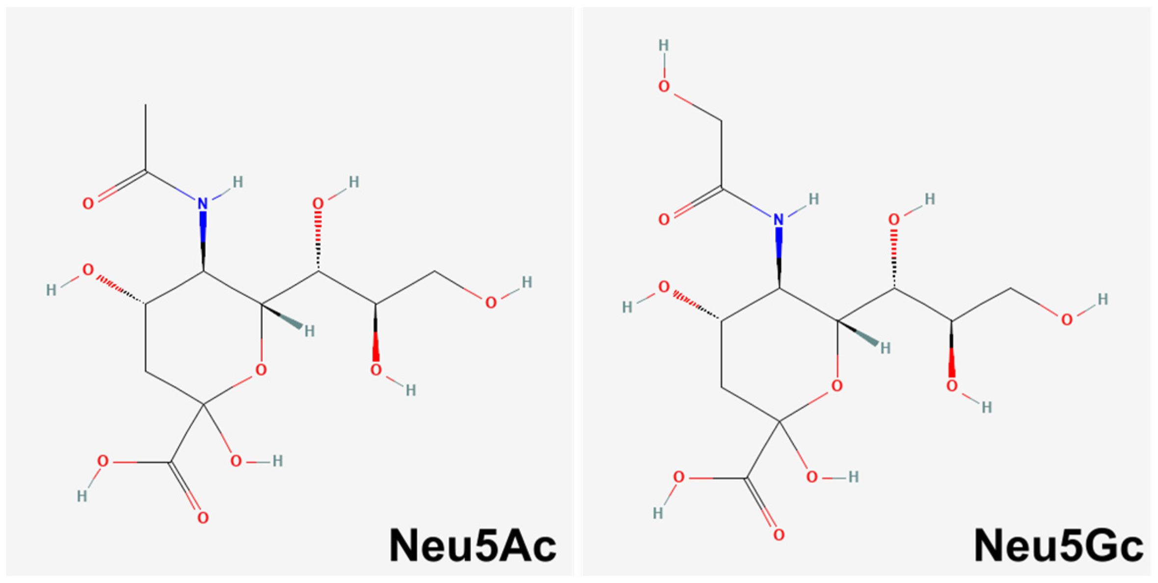 Biology 11 00903 g001