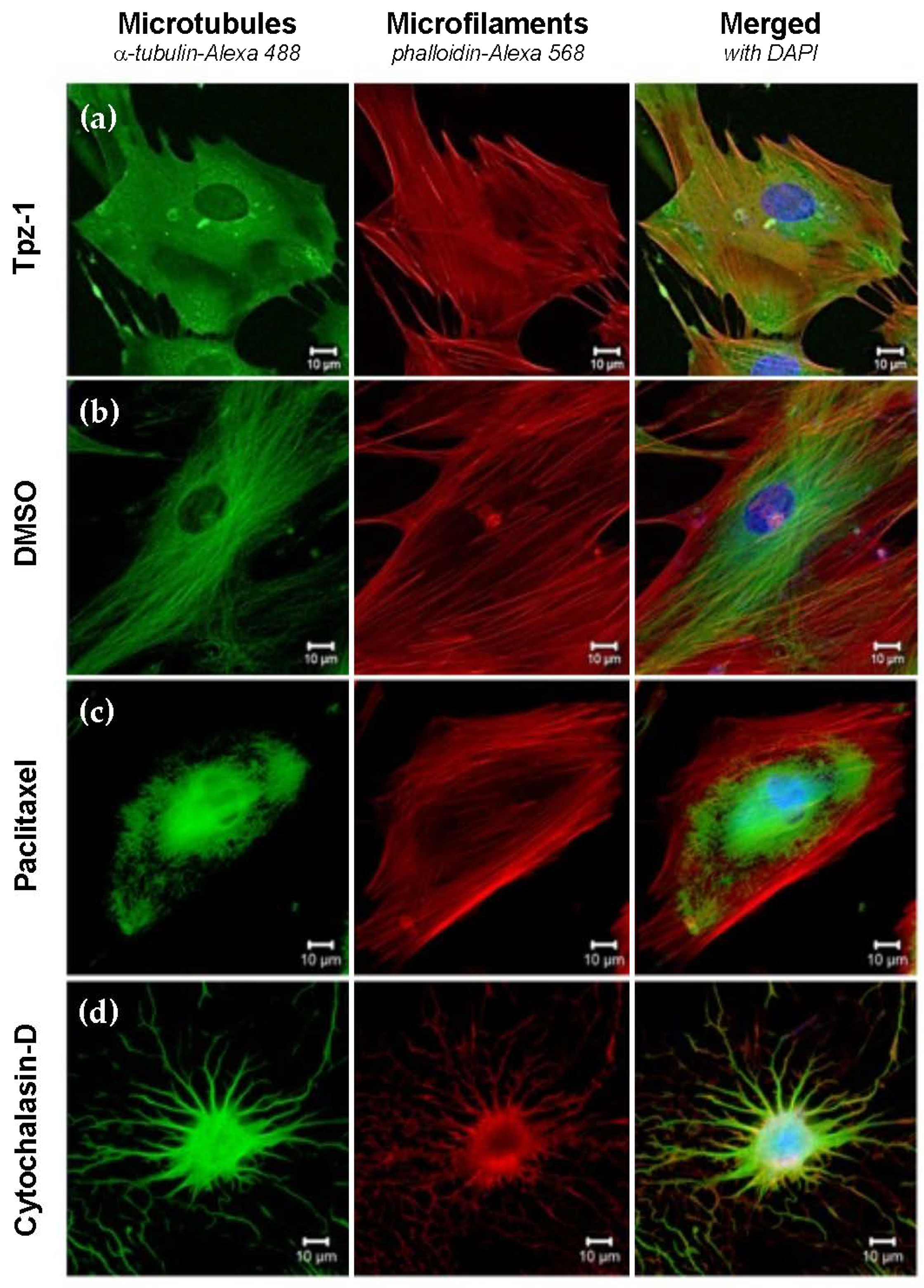 Biology 11 00930 g006