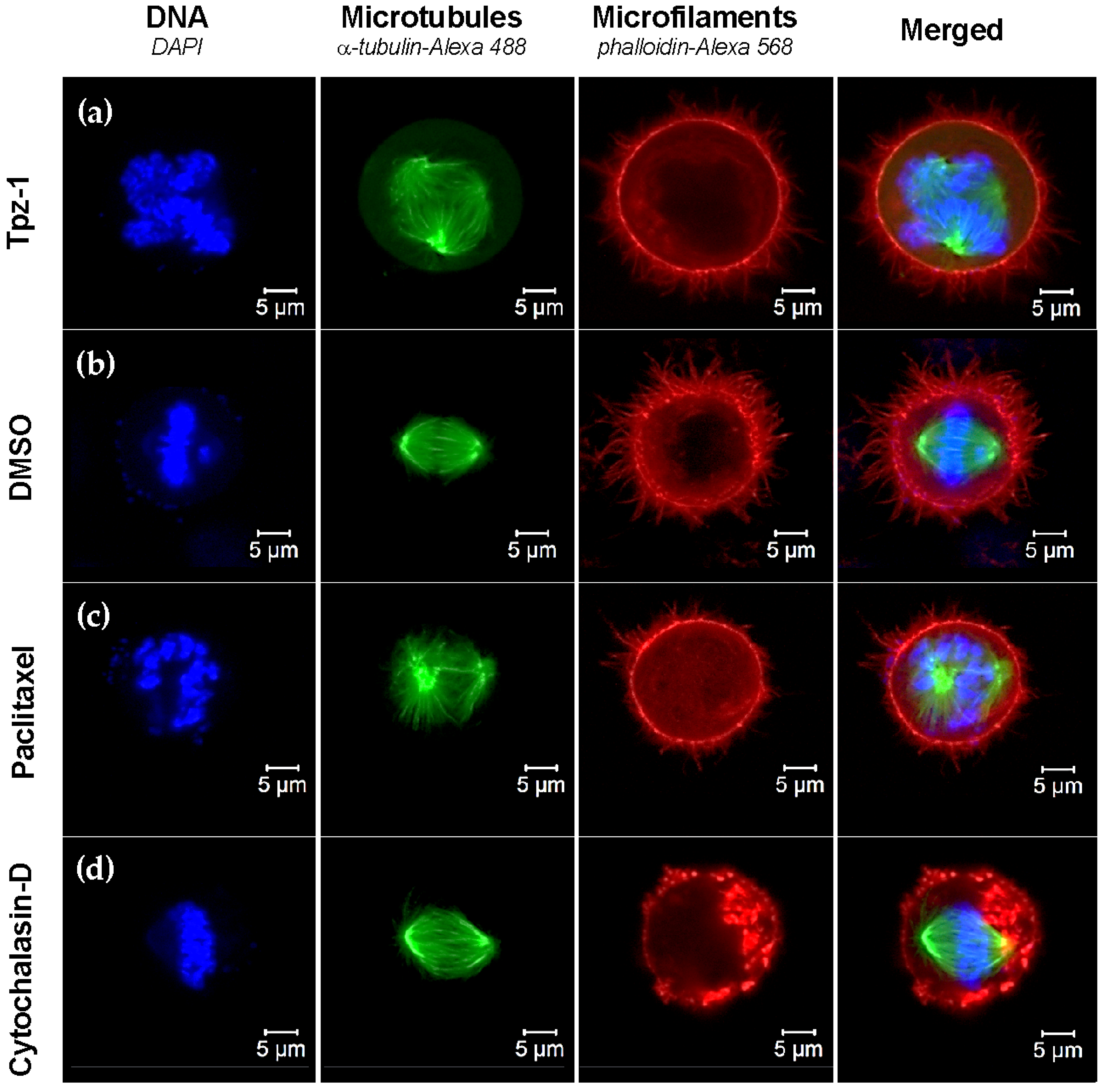 Biology 11 00930 g007