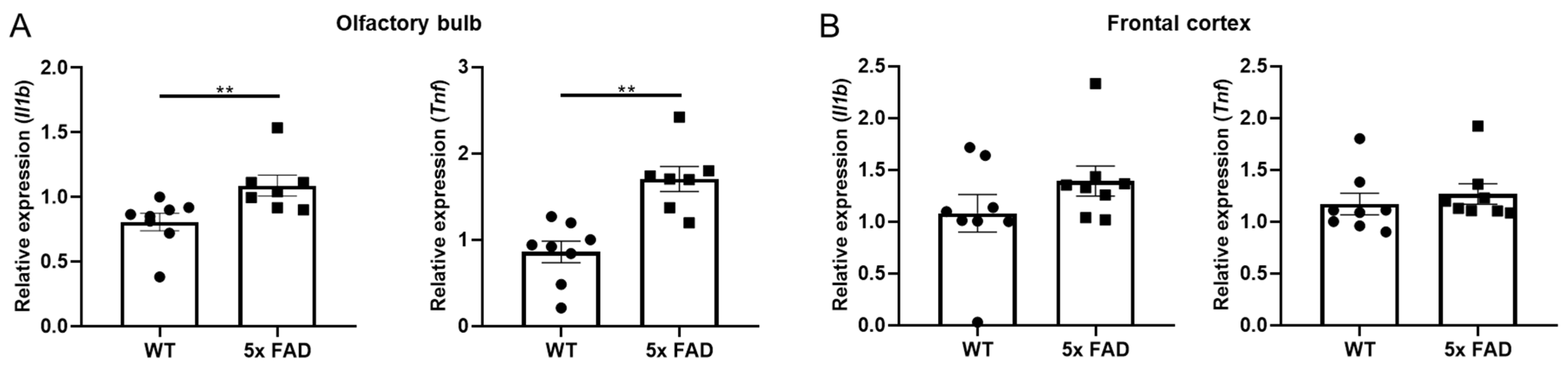 Biology 11 00938 g002