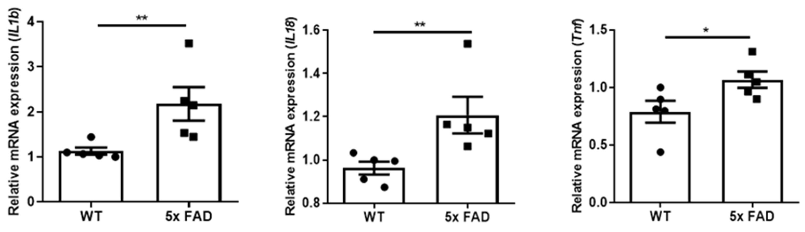 Biology 11 00938 g005