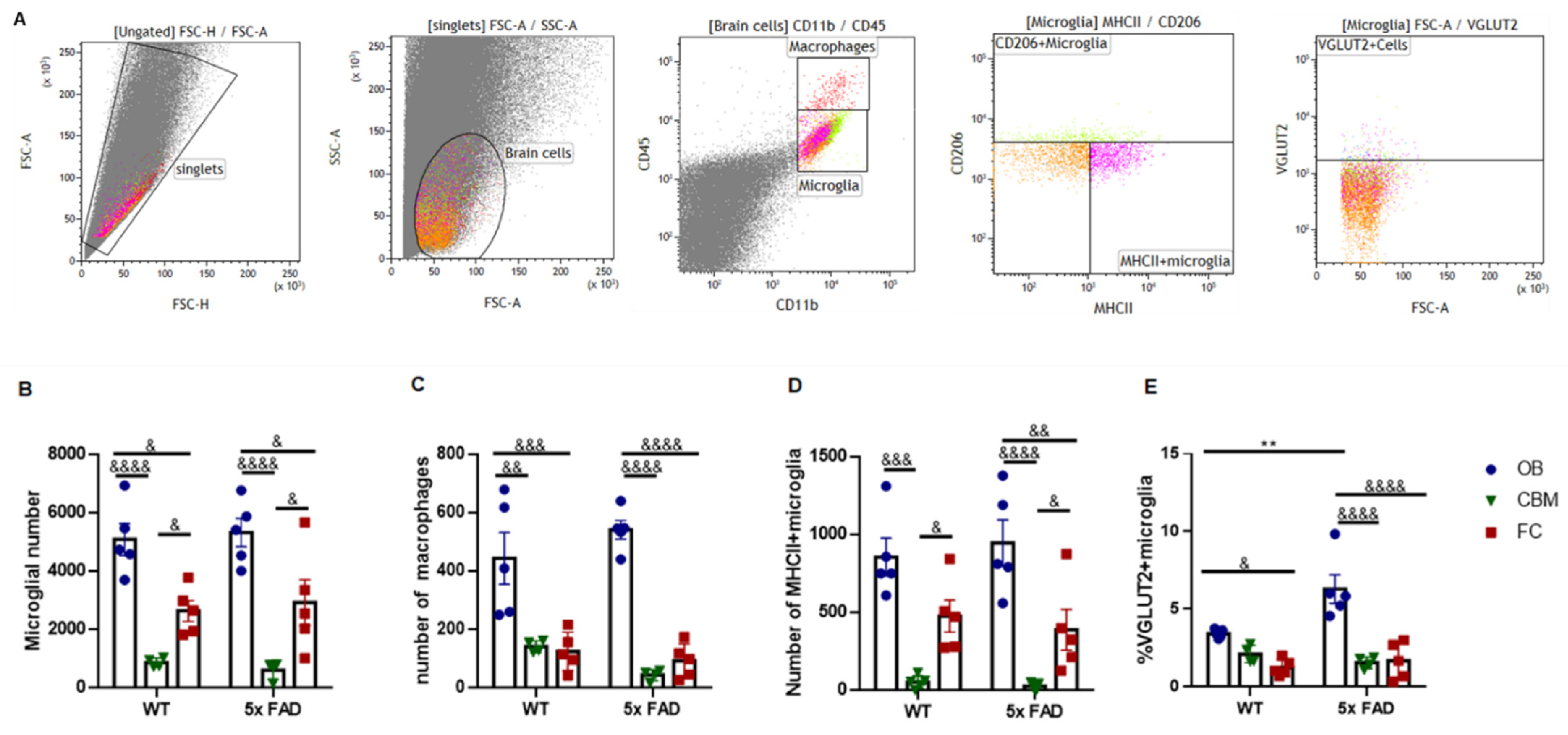 Biology 11 00938 g006