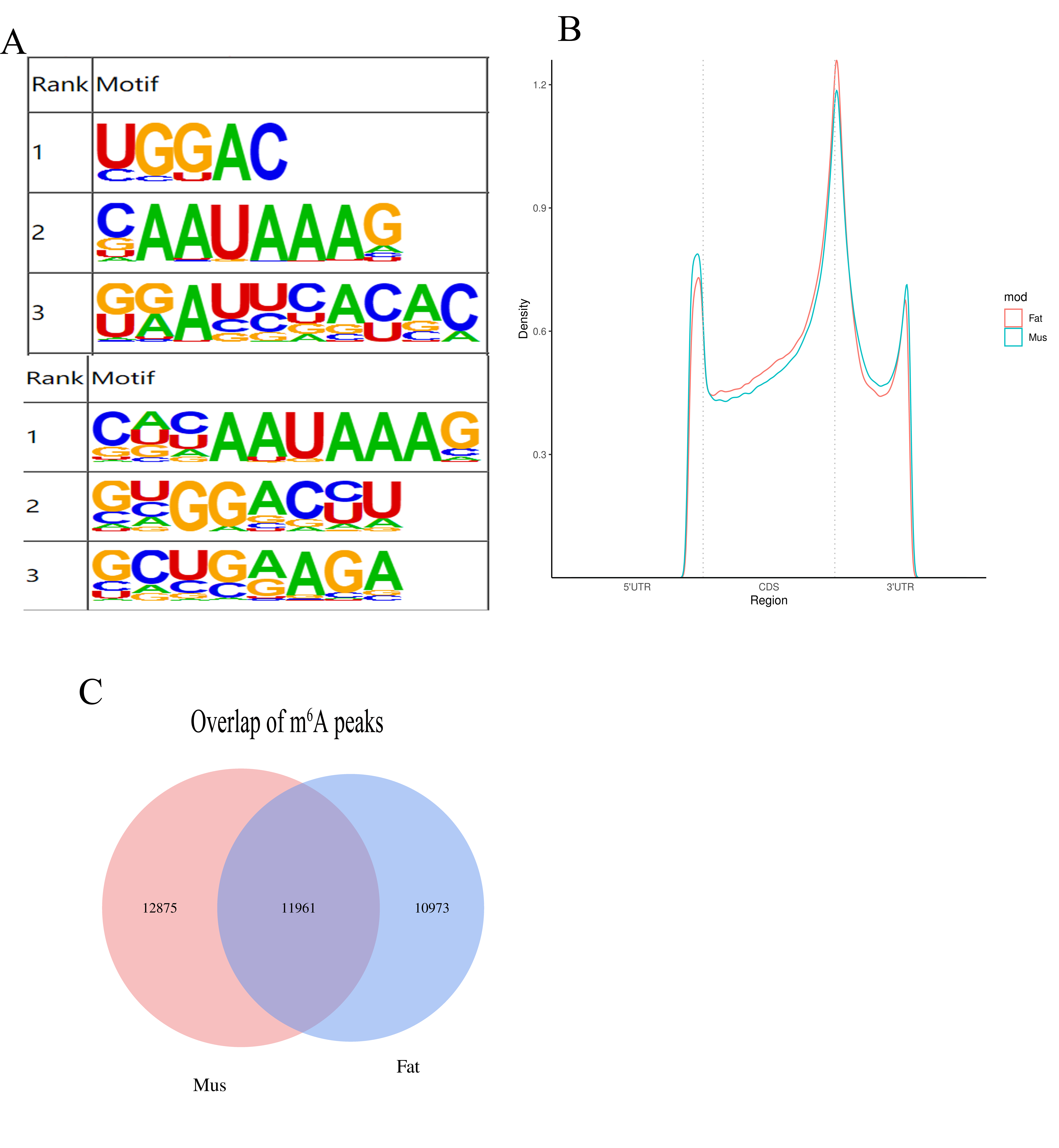 Biology | Free Full-Text | N6-Methyladenosine Methylome Profiling 