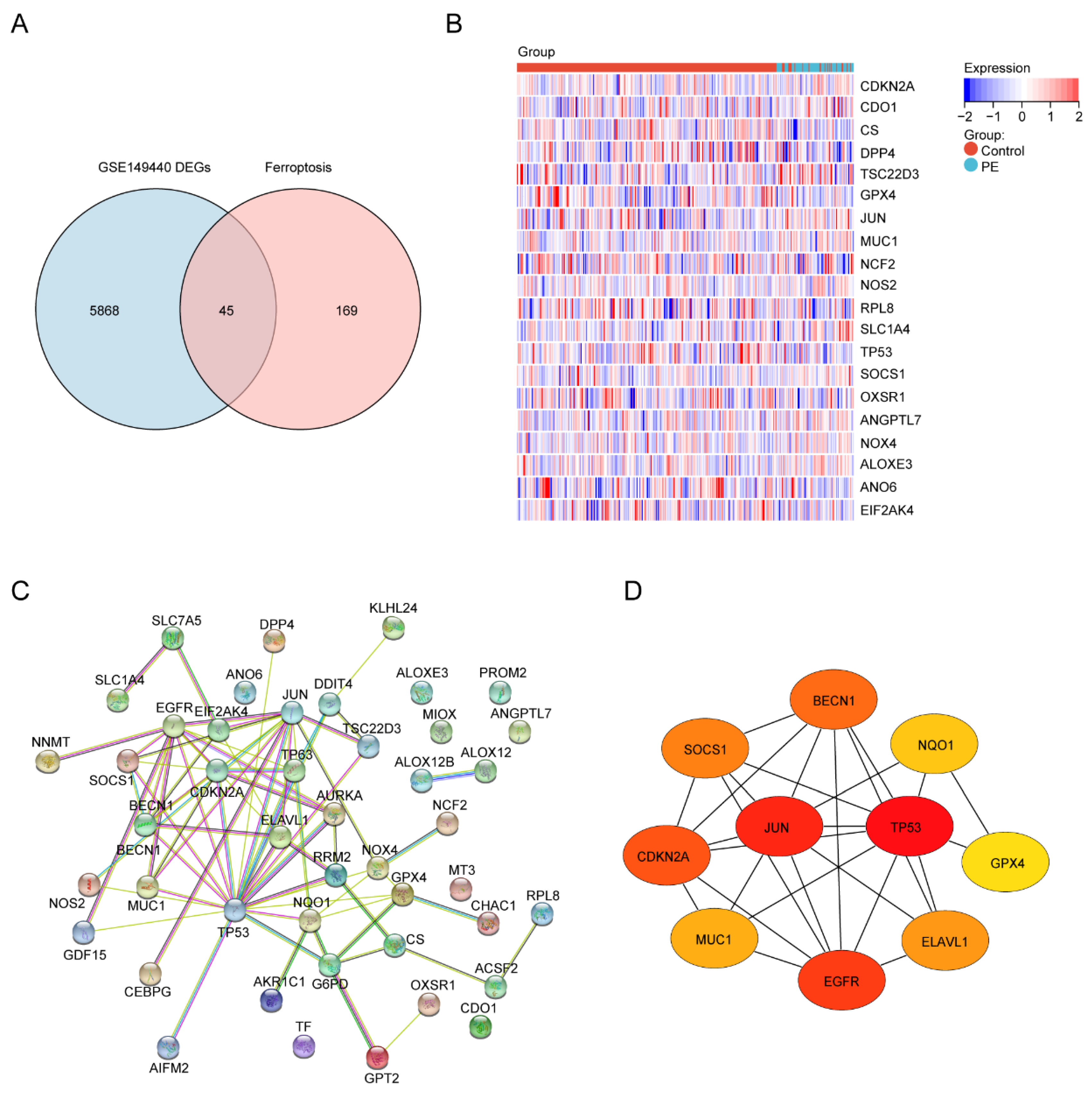 Biology 11 00950 g004