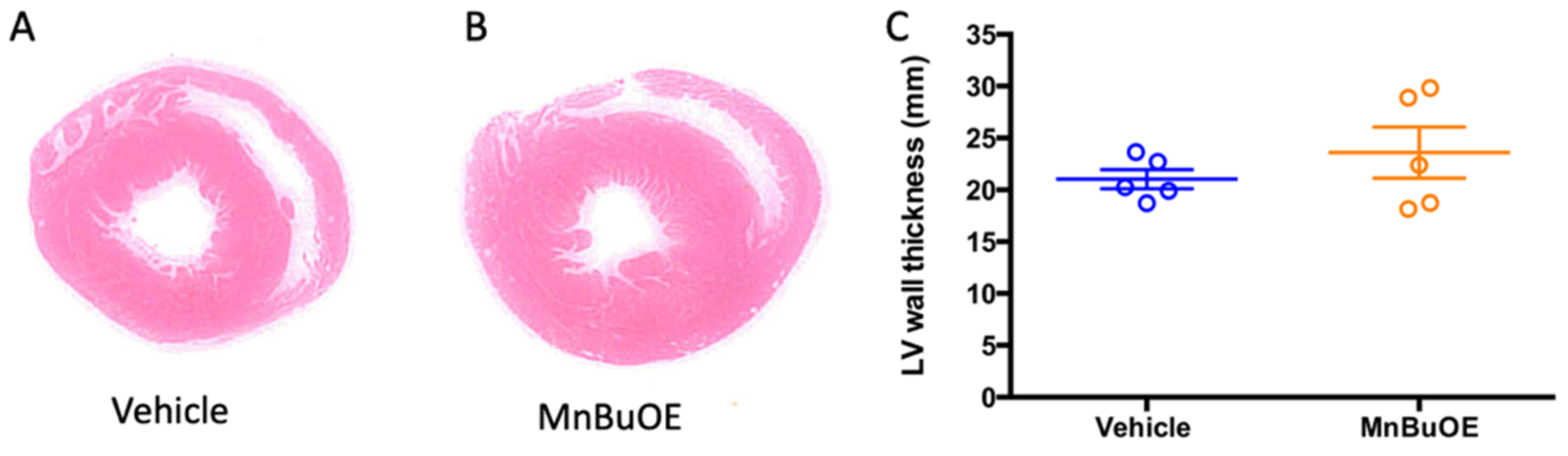 Biology 11 00957 g005 Biology 11 00957 g005
