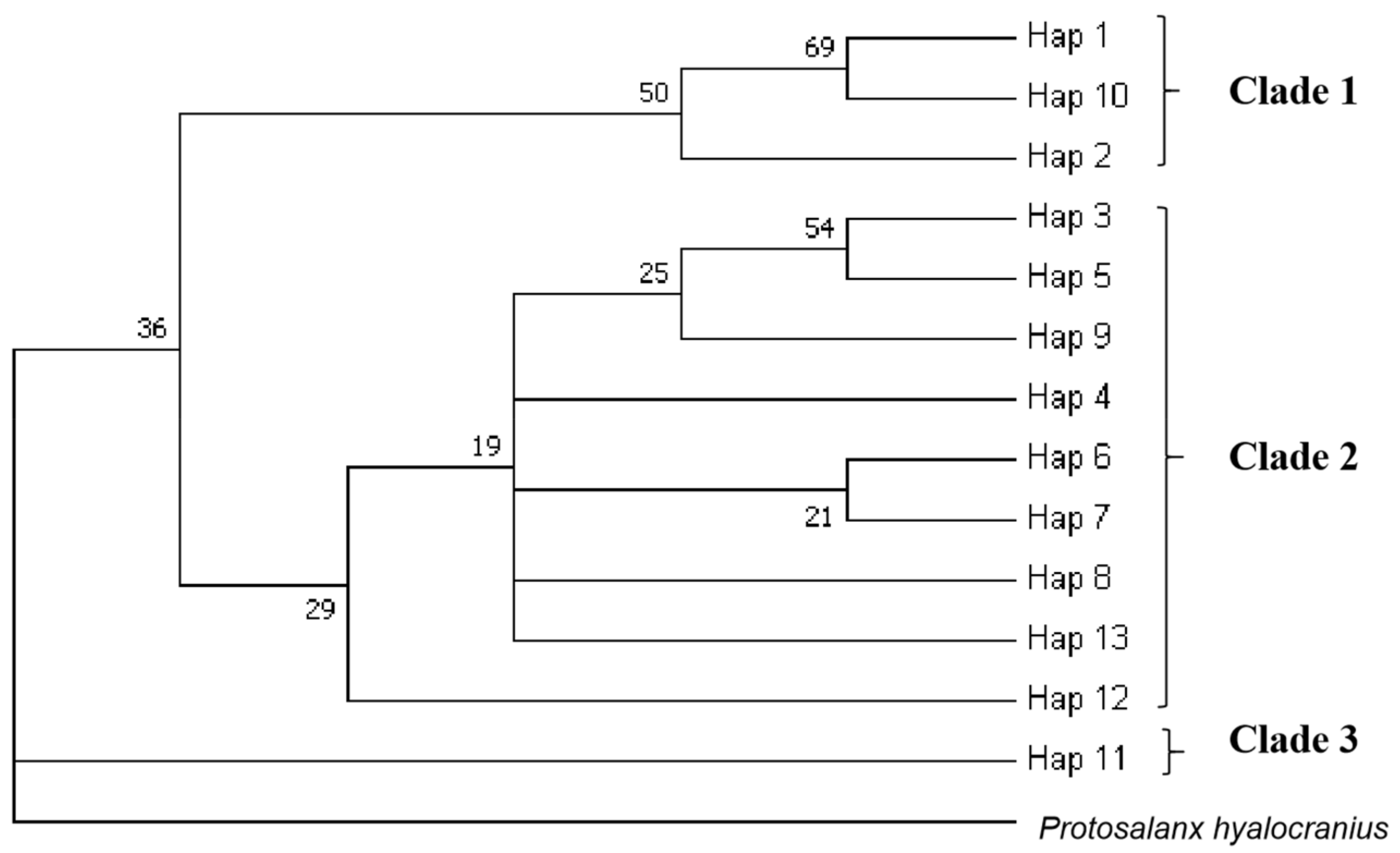 Biology 11 00968 g004