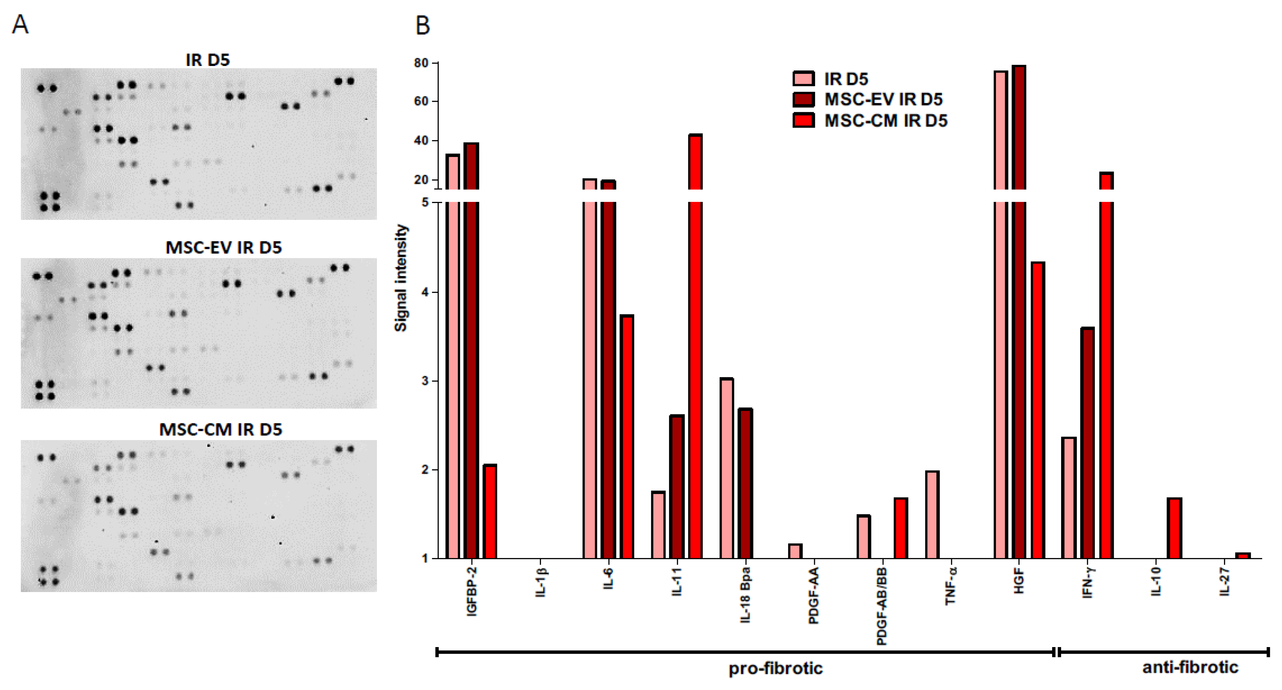 Proteome Profiler Human XL Cytokine Array Kit ARY022B: R&D Systems