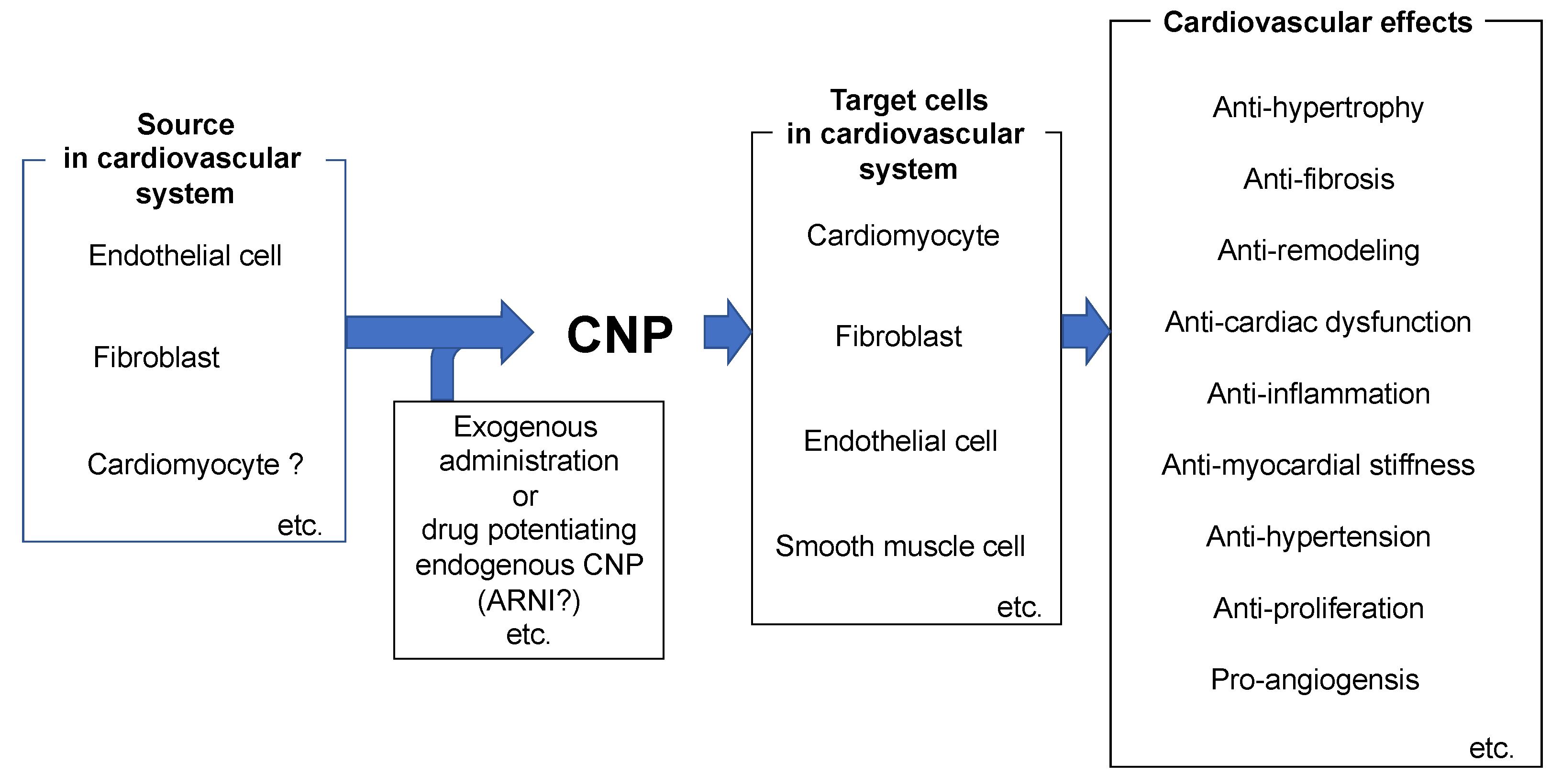 Biology 11 00986 g003 Biology 11 00986 g003