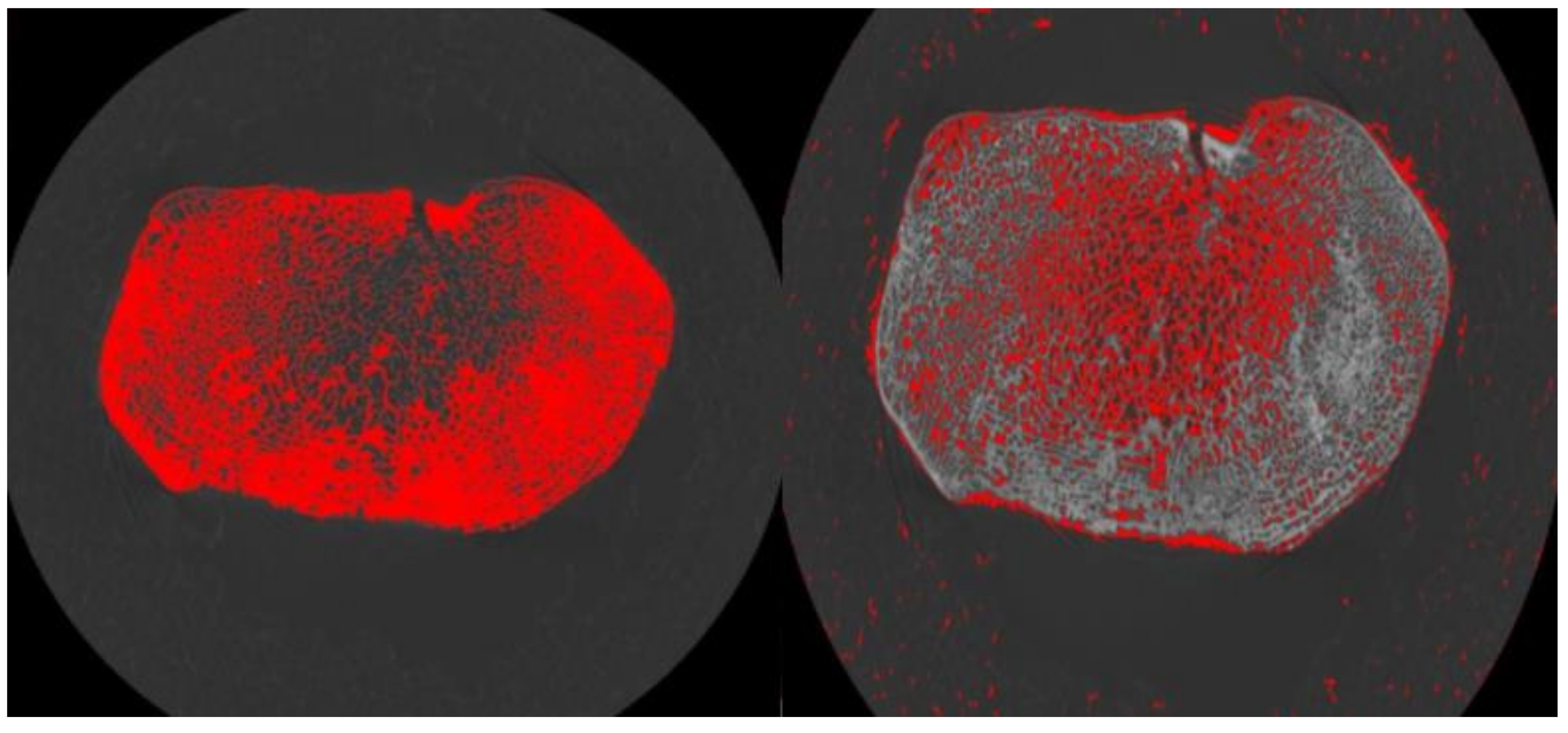 Biology 11 01002 g003
