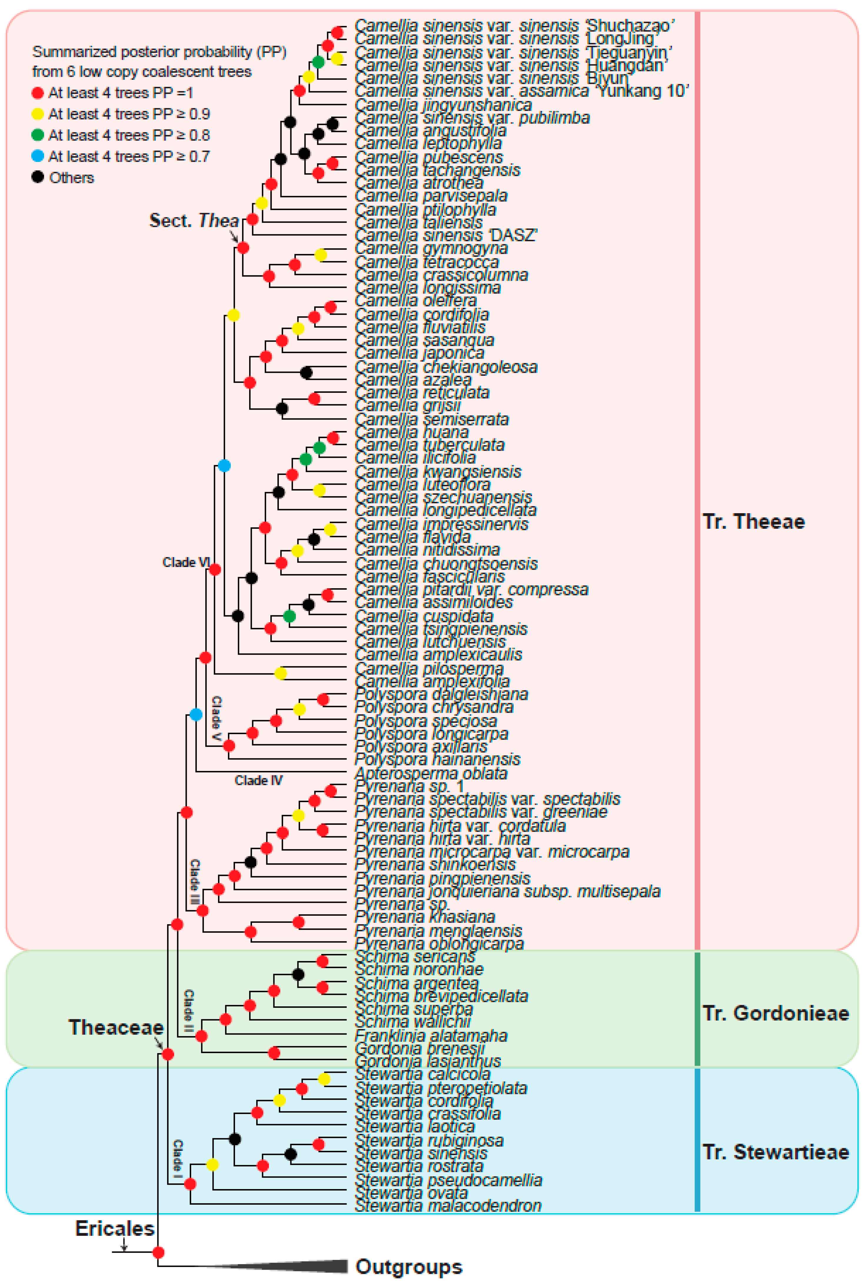 PDF) Phylogenomics resolves major relationships and reveals