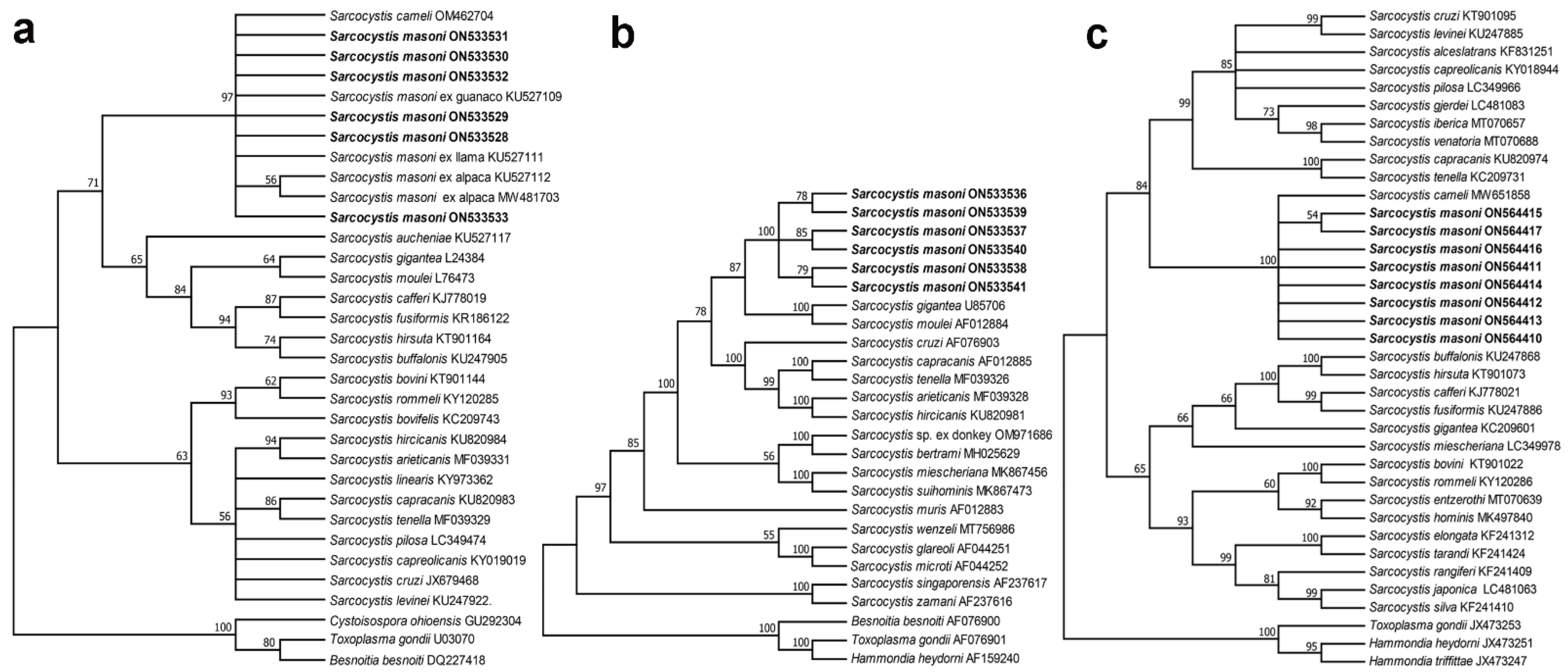 Biology 11 01016 g004