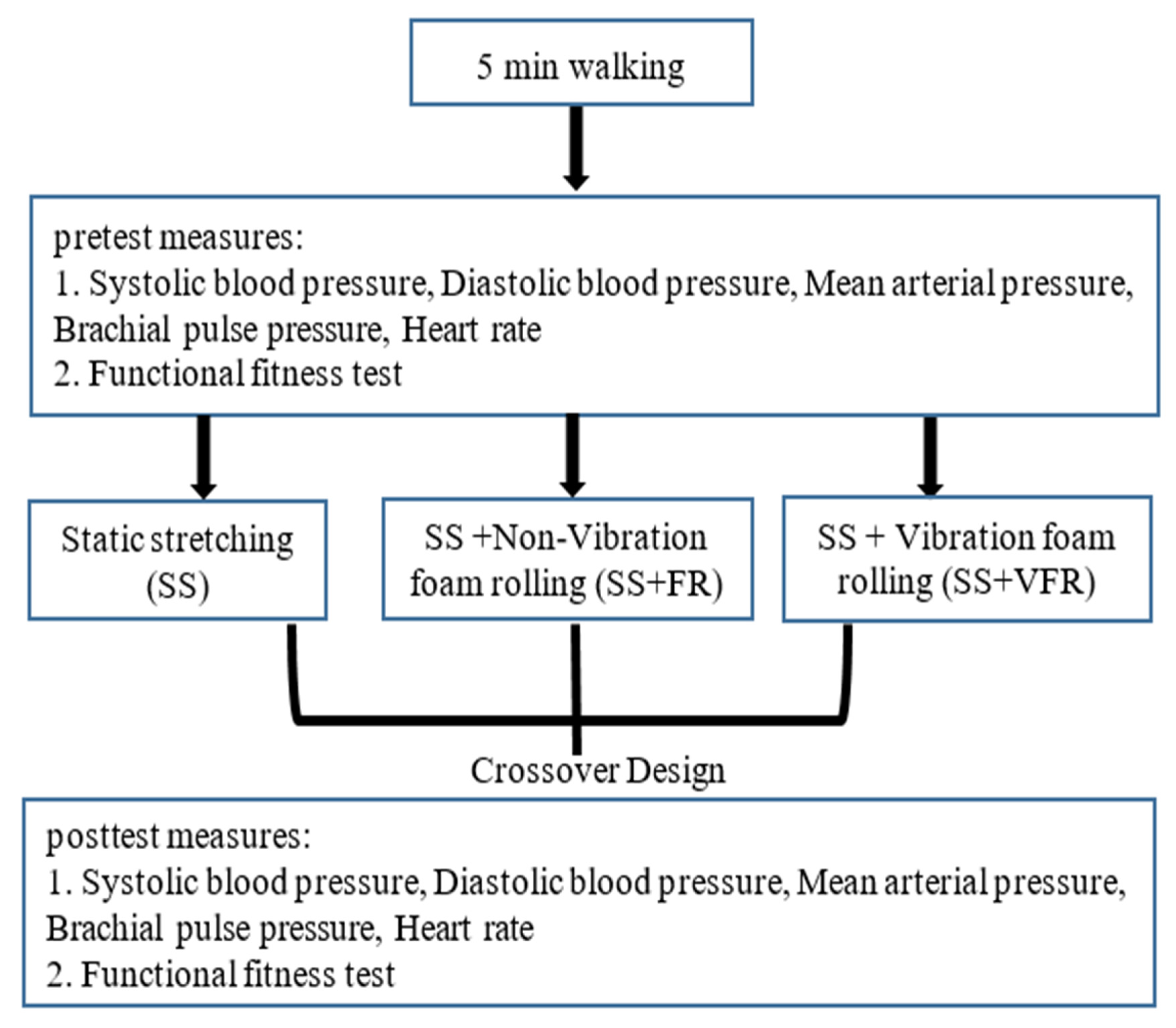 Biology | Free Full-Text | Acute Effects of Static Stretching Combined with  Vibration and Nonvibration Foam Rolling on the Cardiovascular Responses and  Functional Fitness of Older Women with Prehypertension
