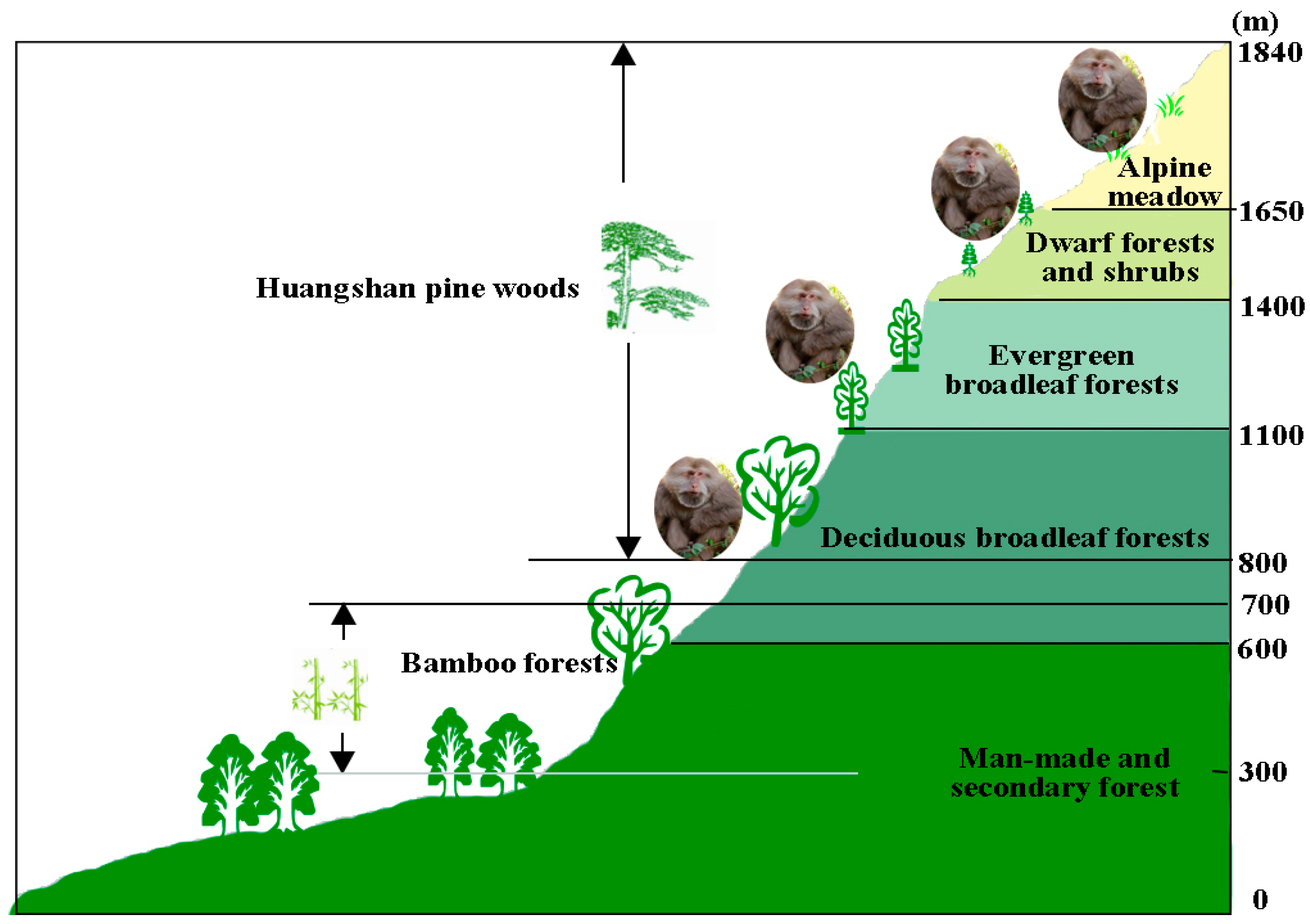 Biology 11 01042 g001
