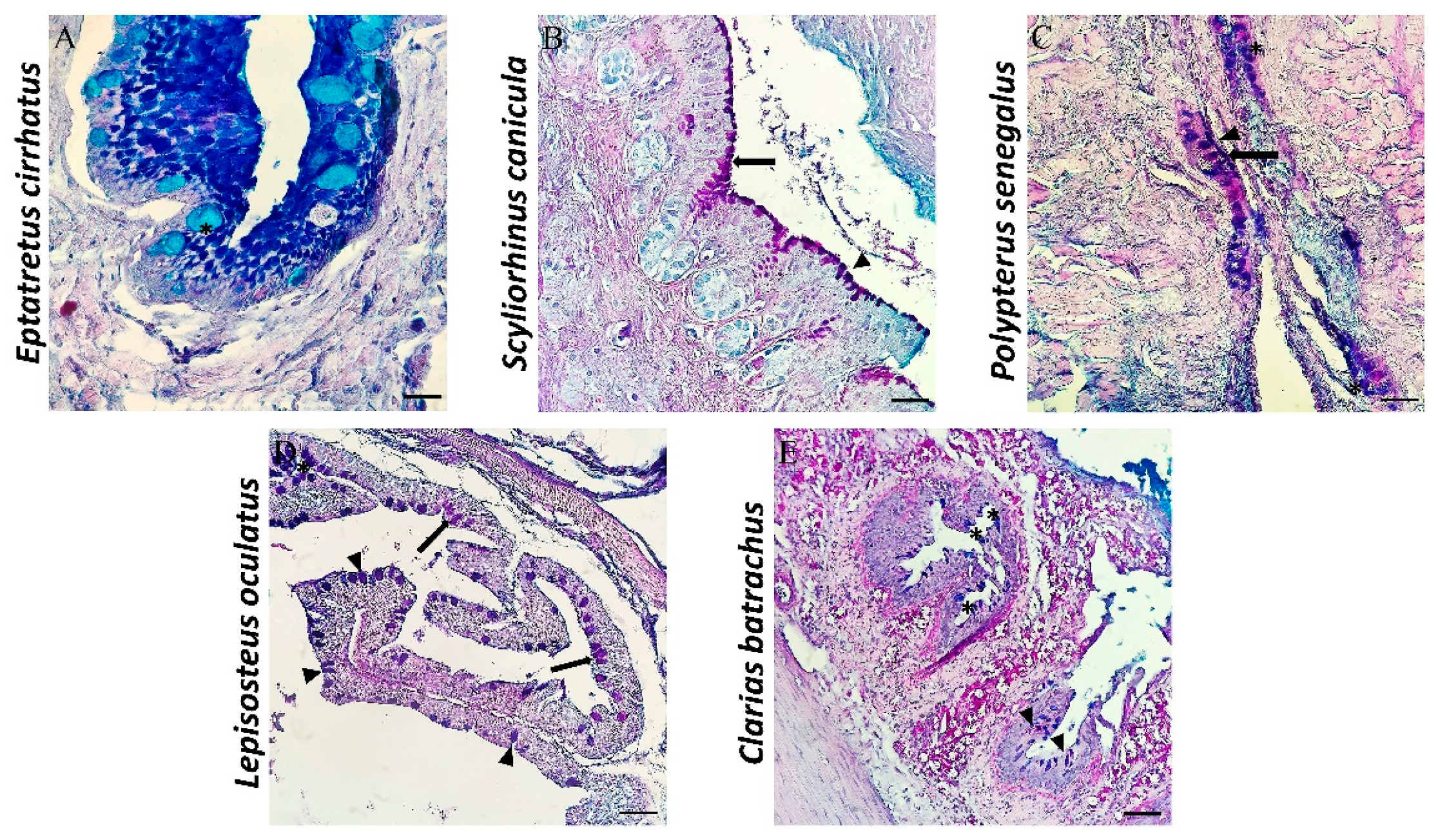 Biology 11 01045 g004