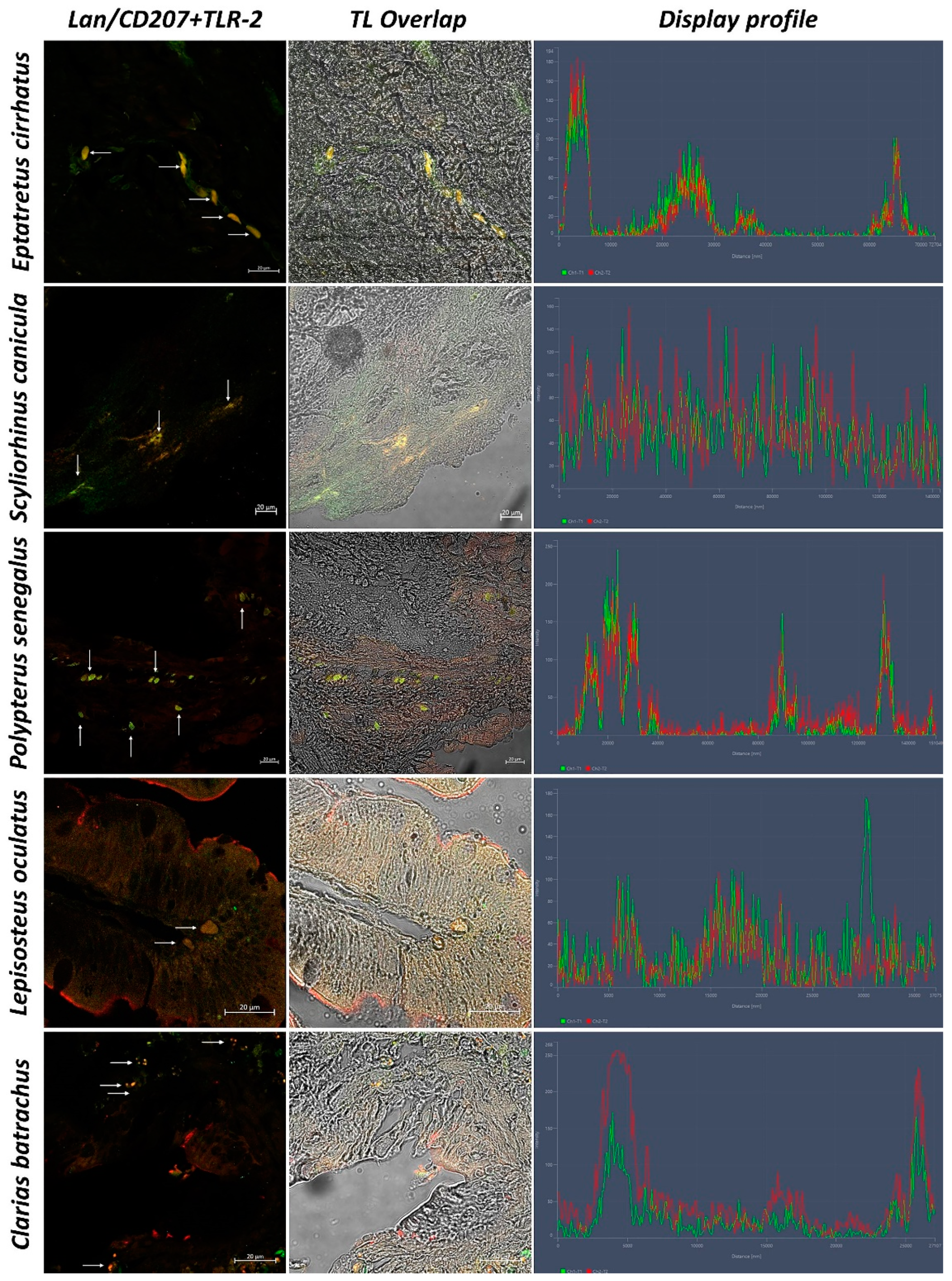 Biology 11 01045 g007