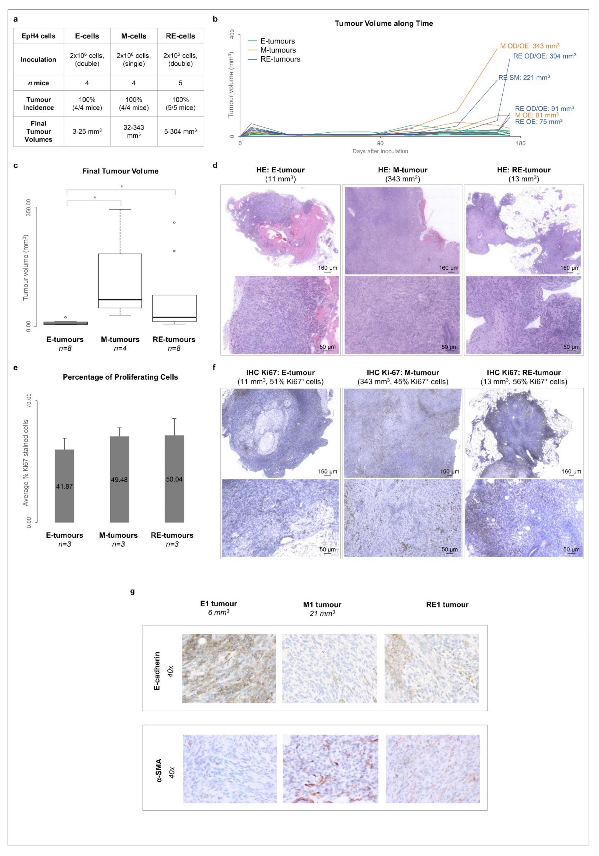 Biology 11 01046 g004