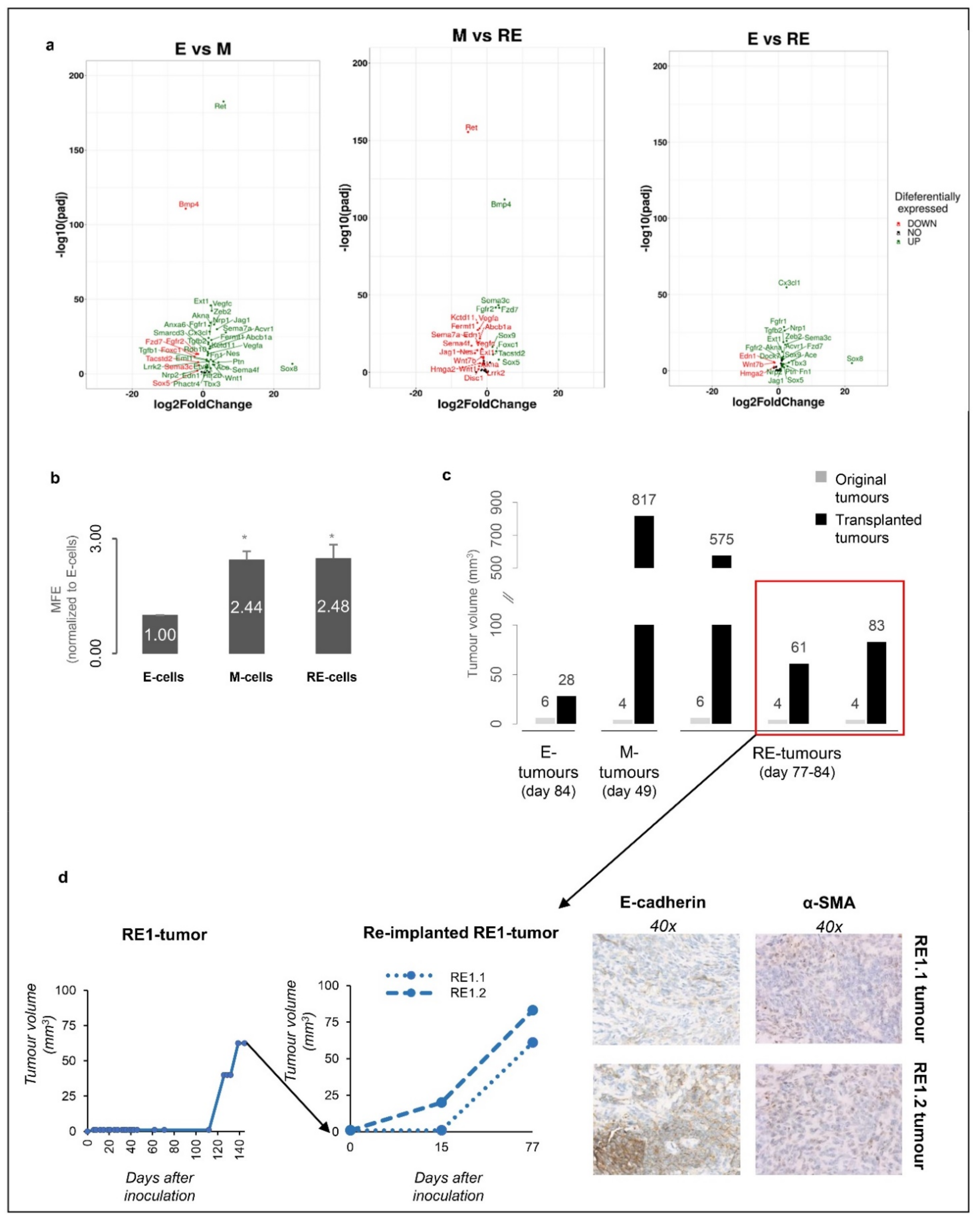 Biology 11 01046 g005