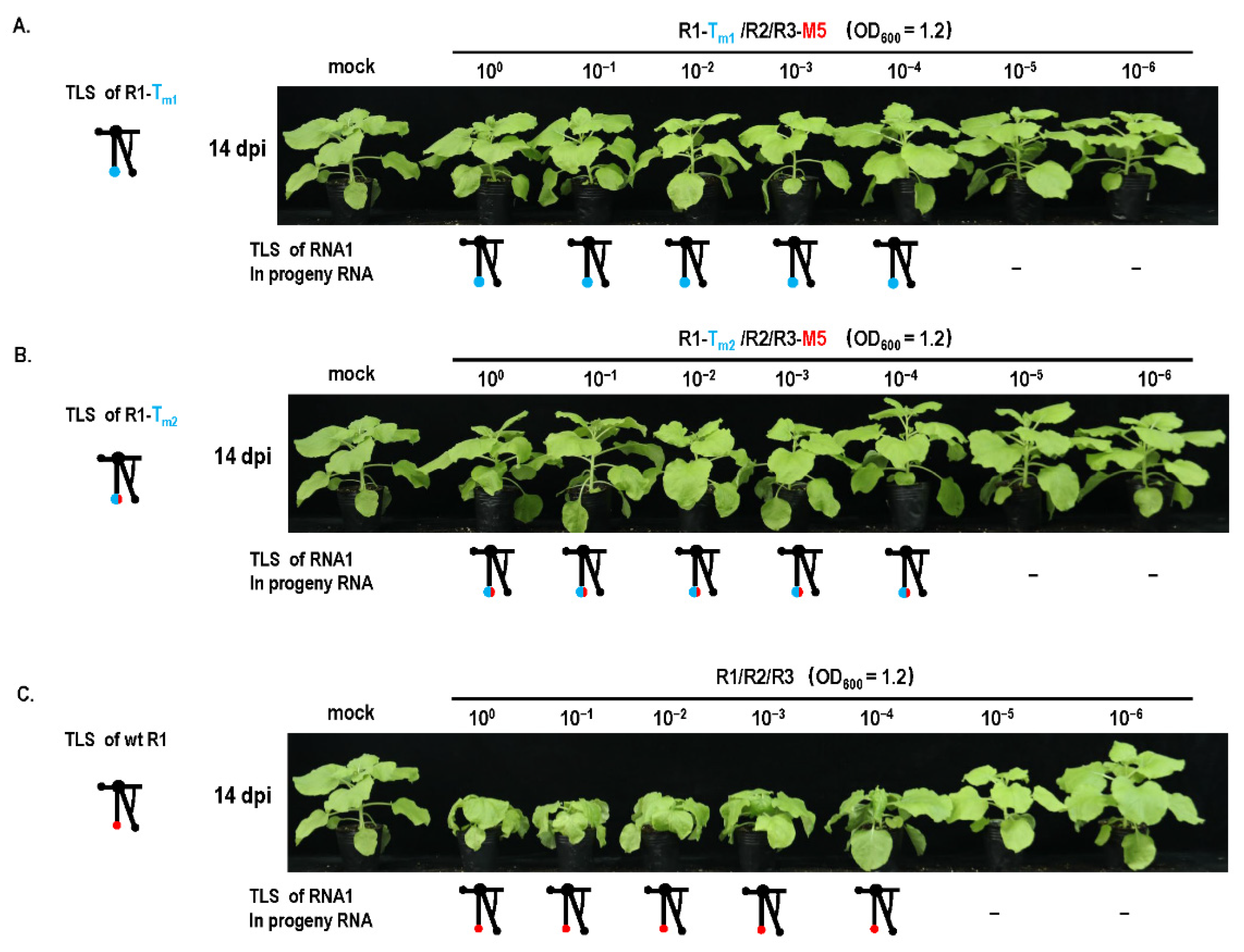Biology 11 01051 g007