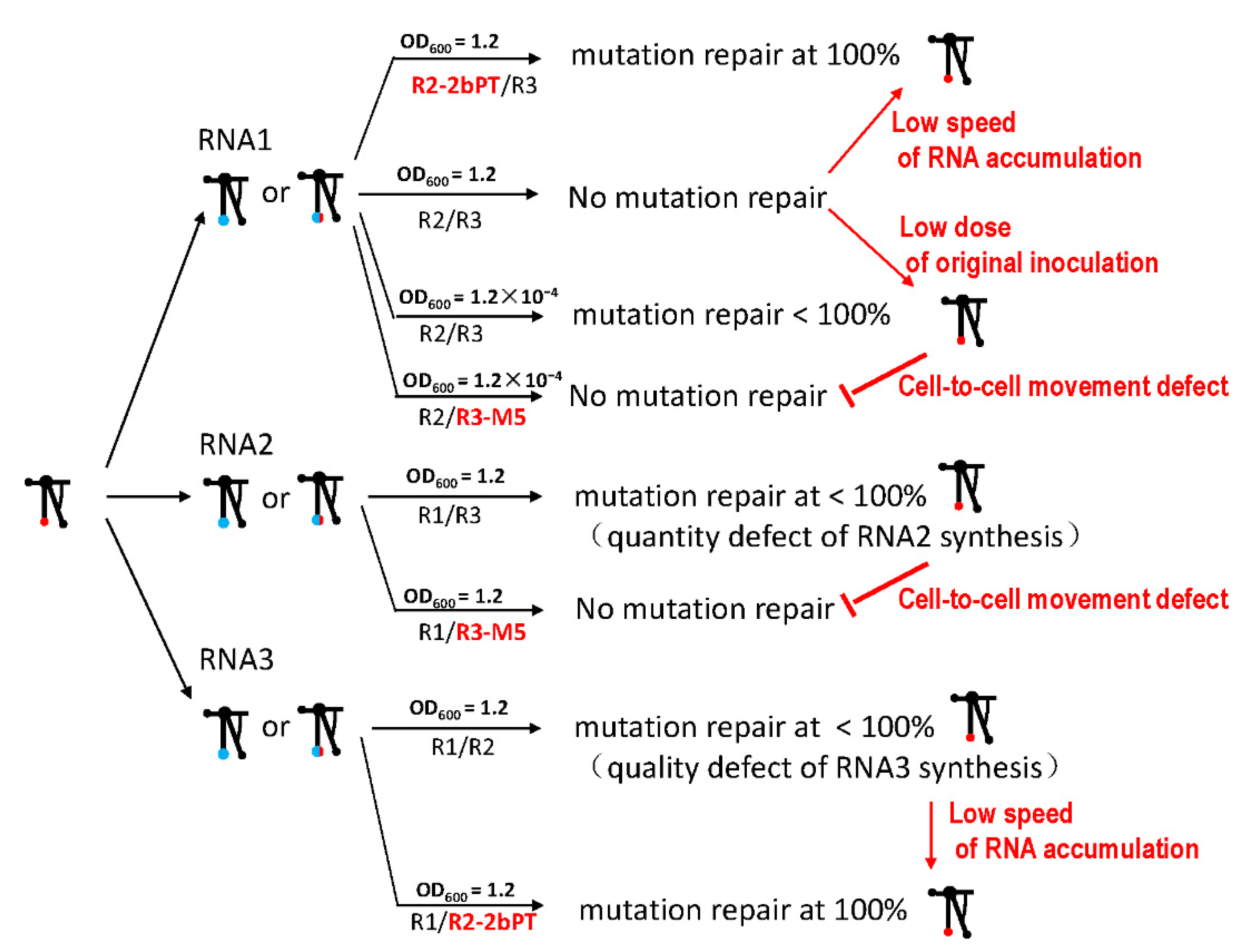 Biology 11 01051 g008
