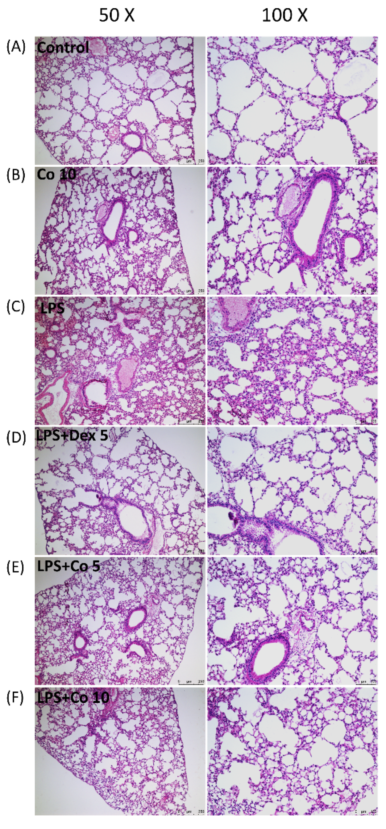 Biology 11 01058 g002