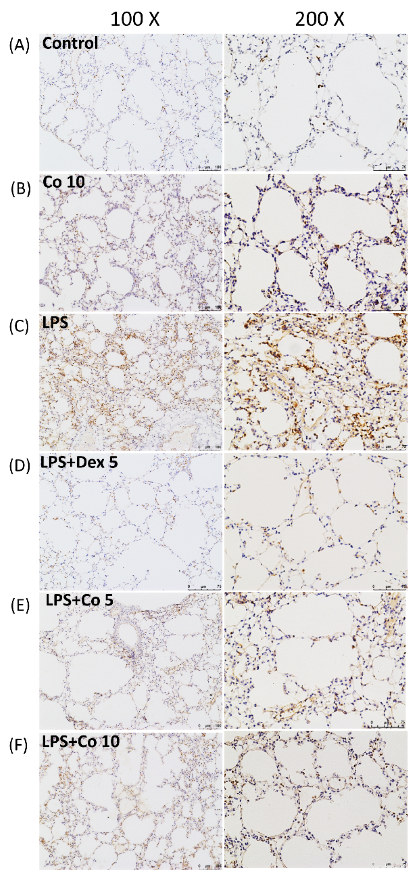Biology 11 01058 g003