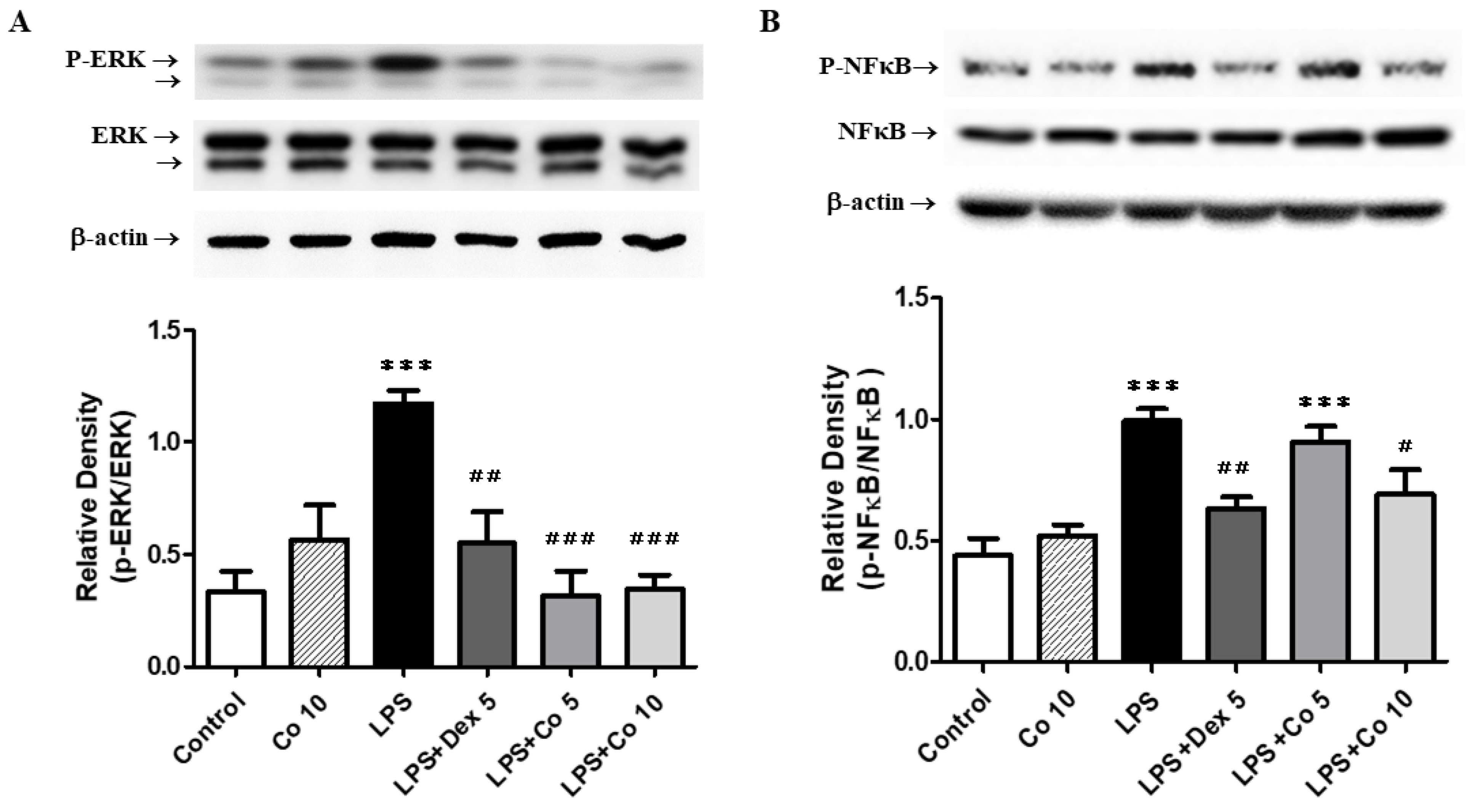 Biology 11 01058 g007
