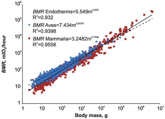 Scatter plot of brain weight onto body weight (log scale) in