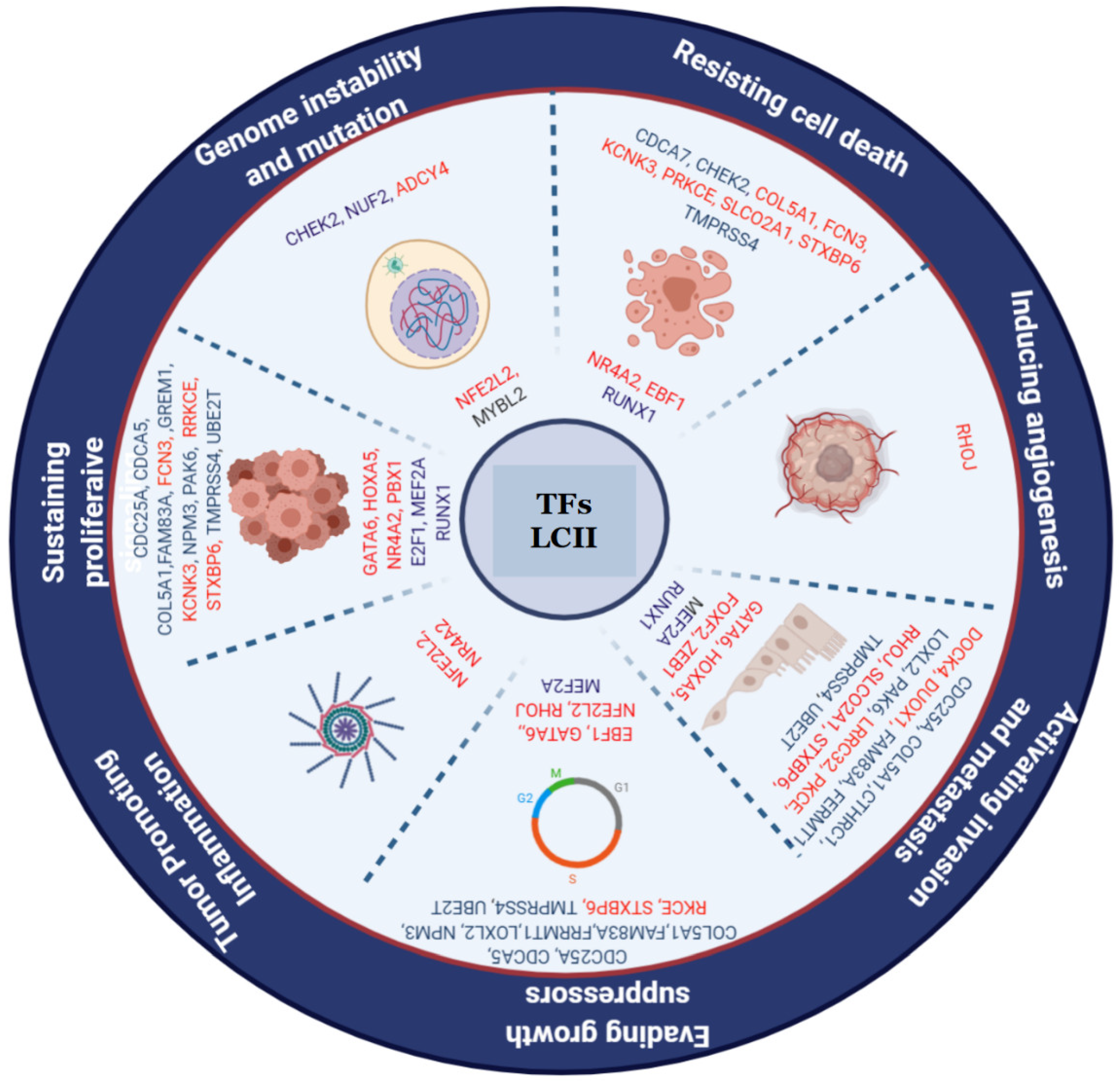 Identifying common transcriptome signatures of cancer by interpreting deep  learning models, Genome Biology