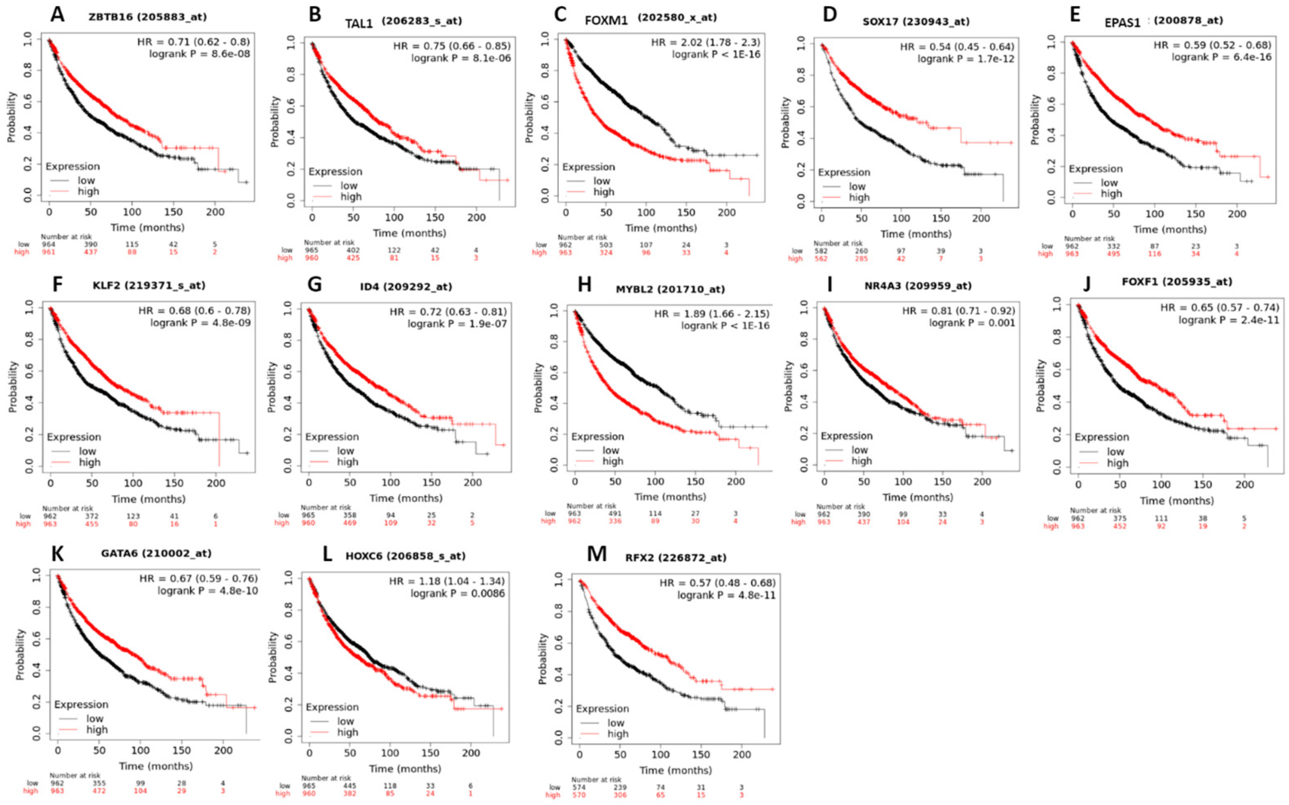 Biology 11 01082 g011 Biology 11 01082 g011