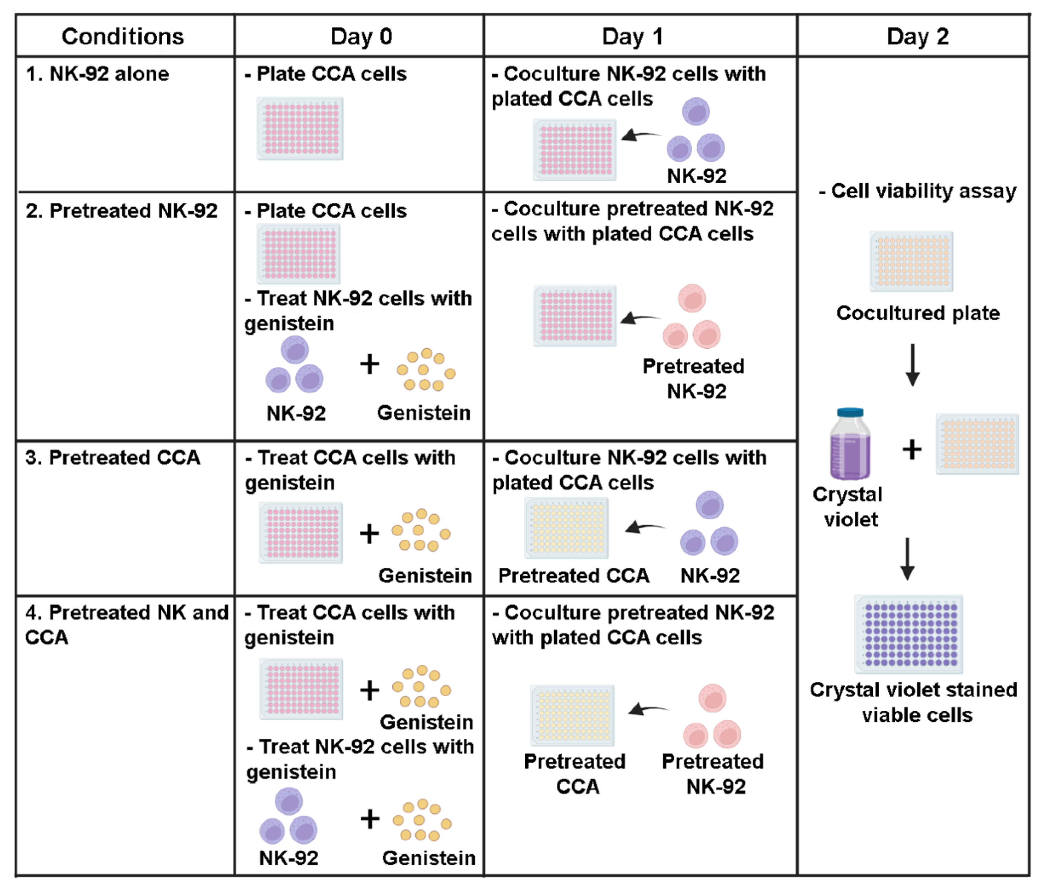 Biology 11 01098 g001