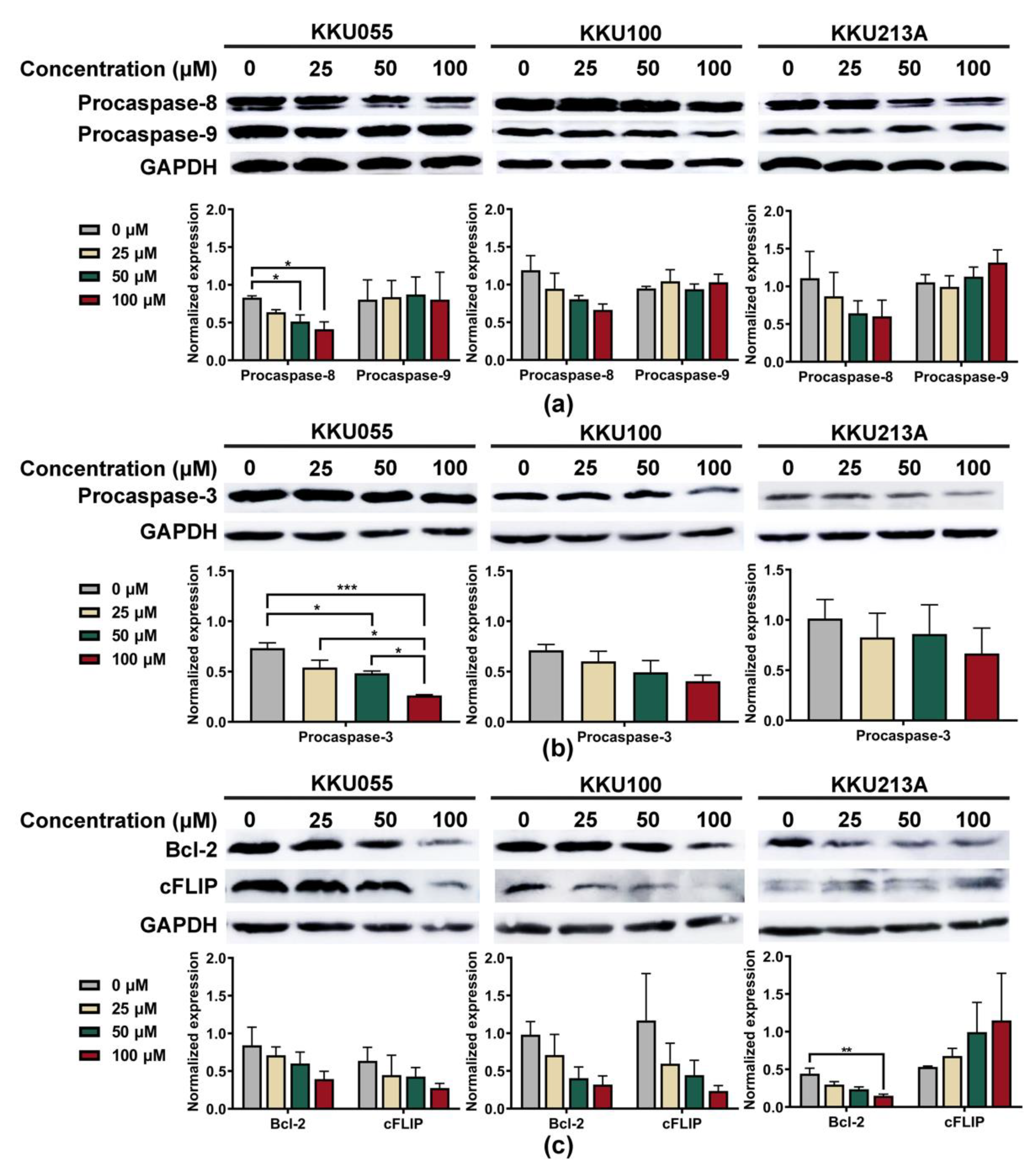 Biology 11 01098 g004