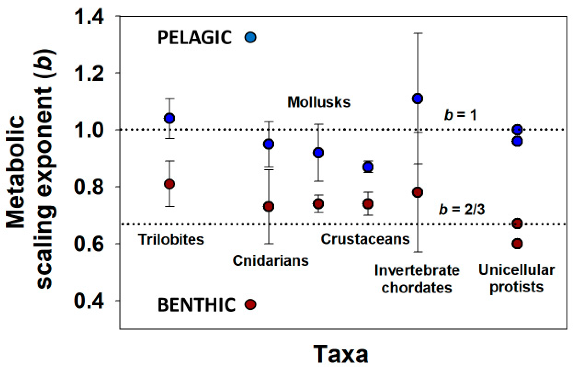 Biology 11 01106 g003
