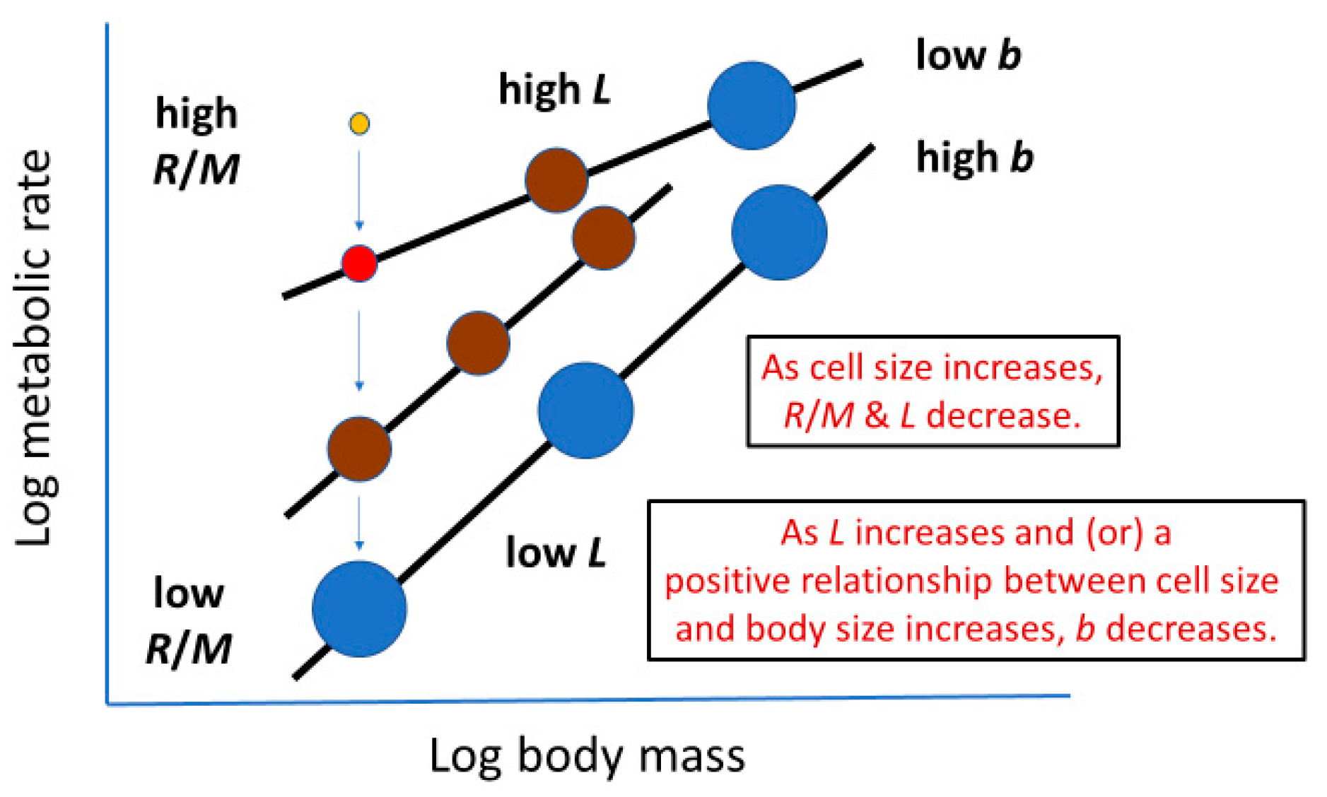 Biology 11 01106 g007