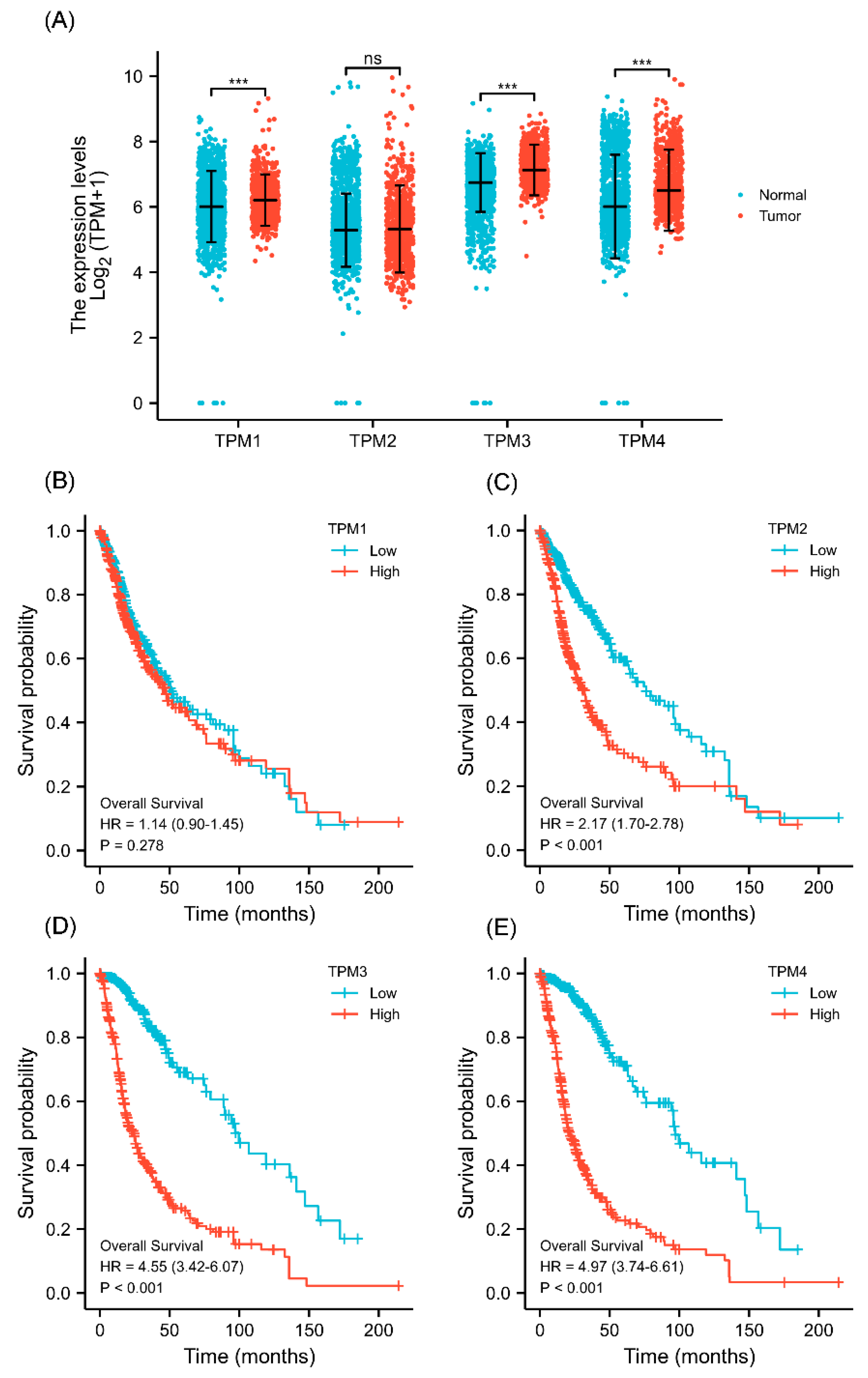 Biology 11 01115 g001 Biology 11 01115 g001
