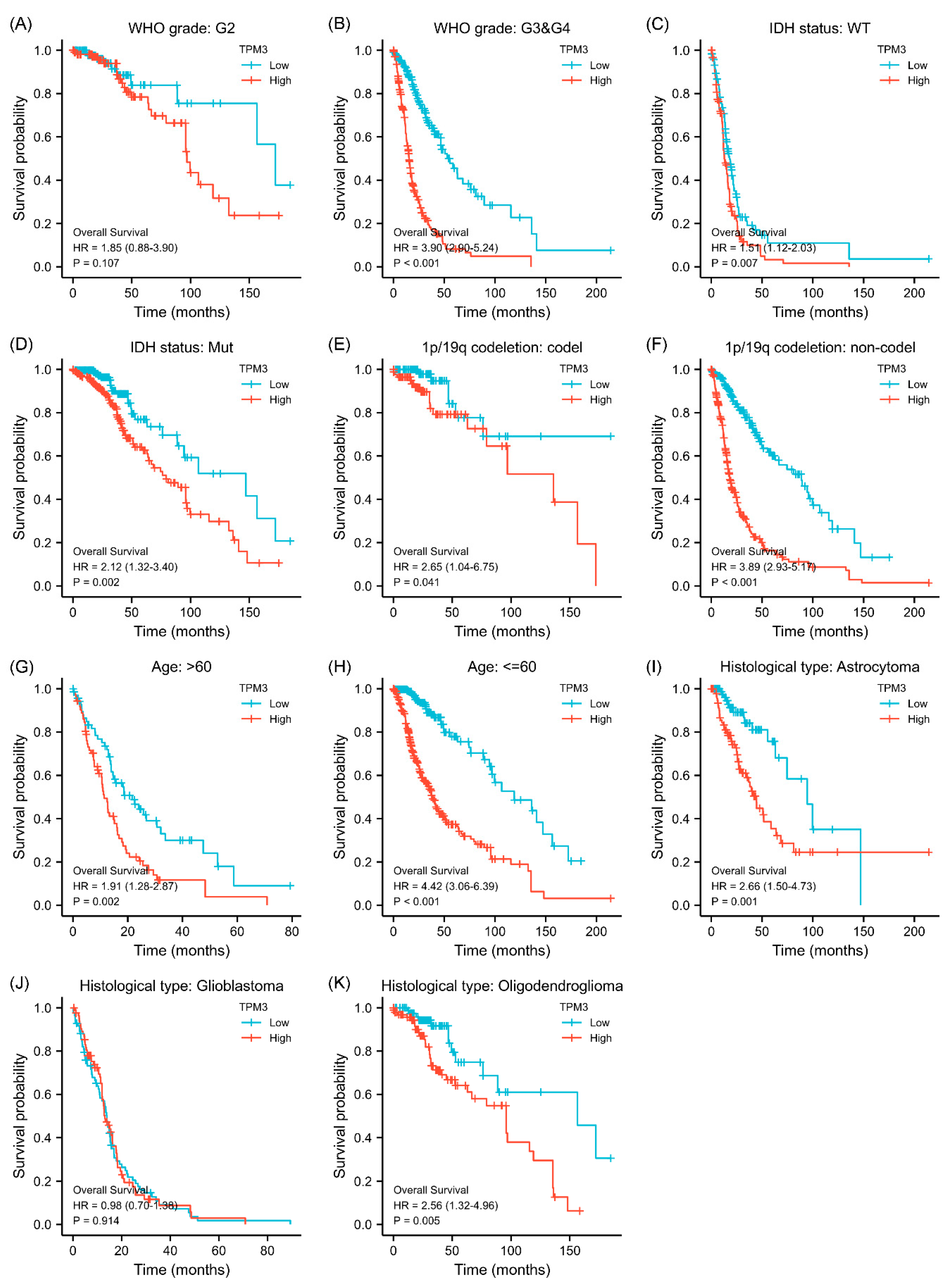 Biology 11 01115 g003 Biology 11 01115 g003