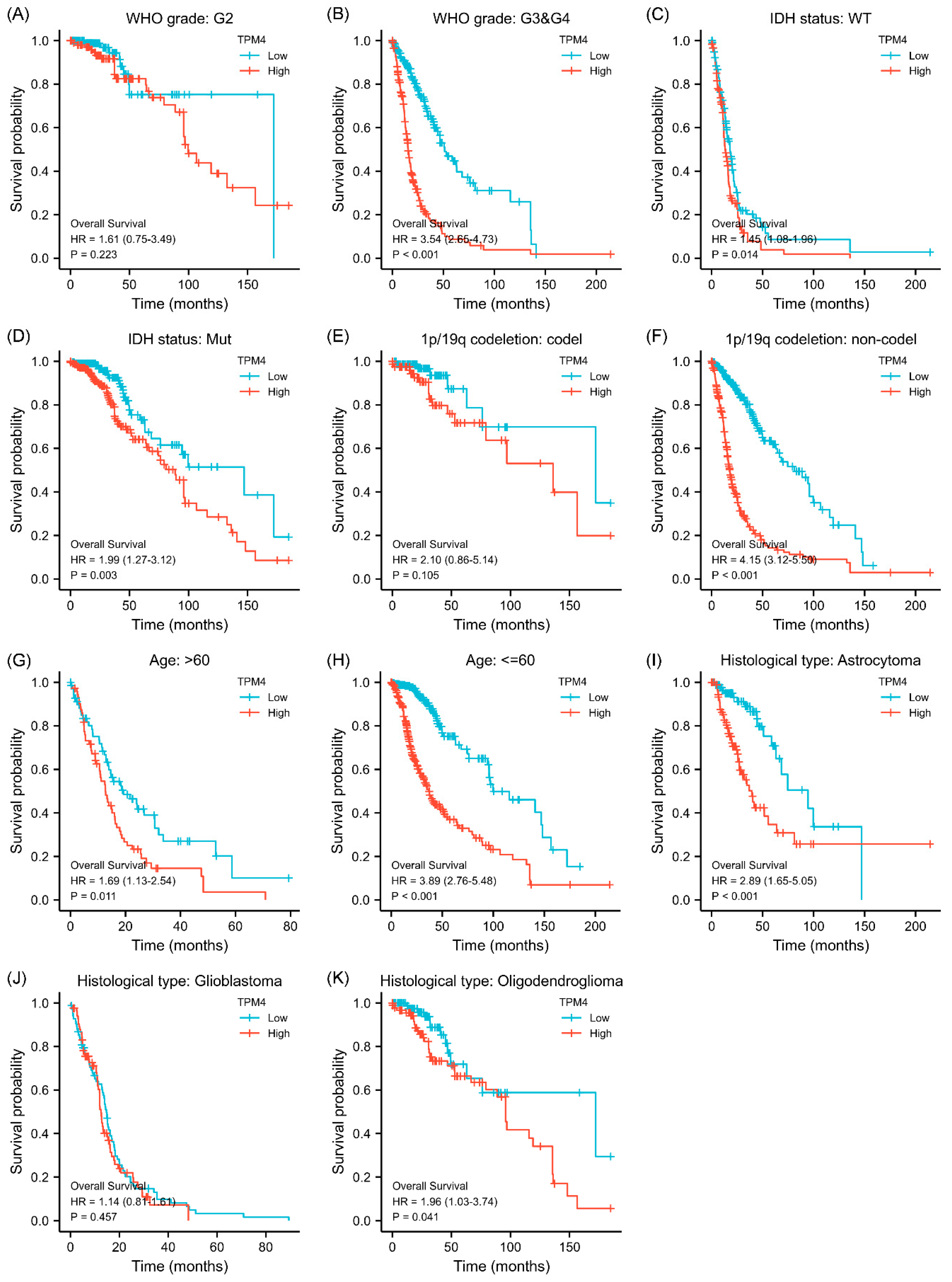 Biology 11 01115 g004 Biology 11 01115 g004
