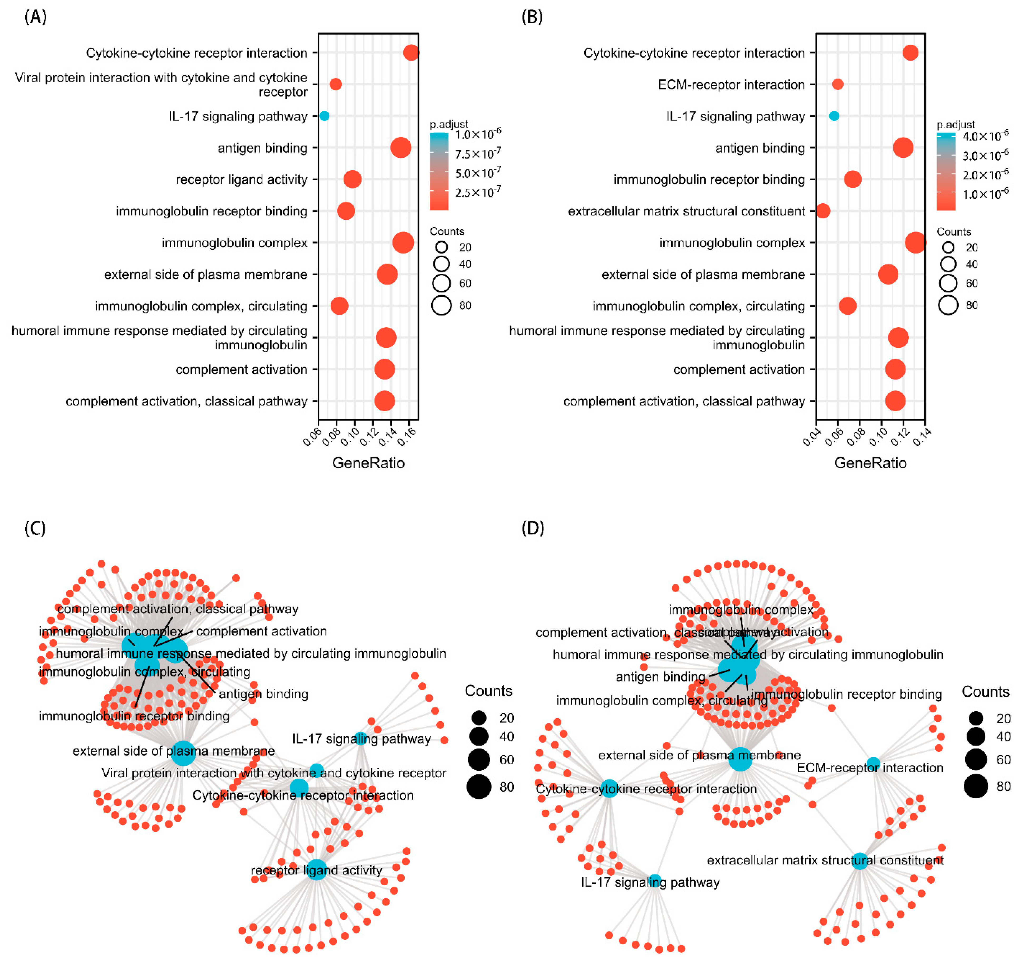 Biology 11 01115 g008 Biology 11 01115 g008